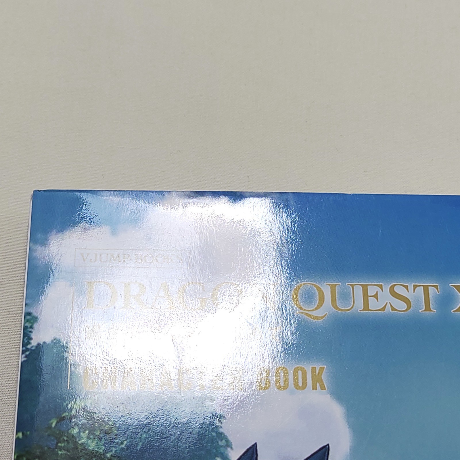 Dragon Quest XI: Echoes of an Elusive Age Character Book 1st Ed JP Out of print