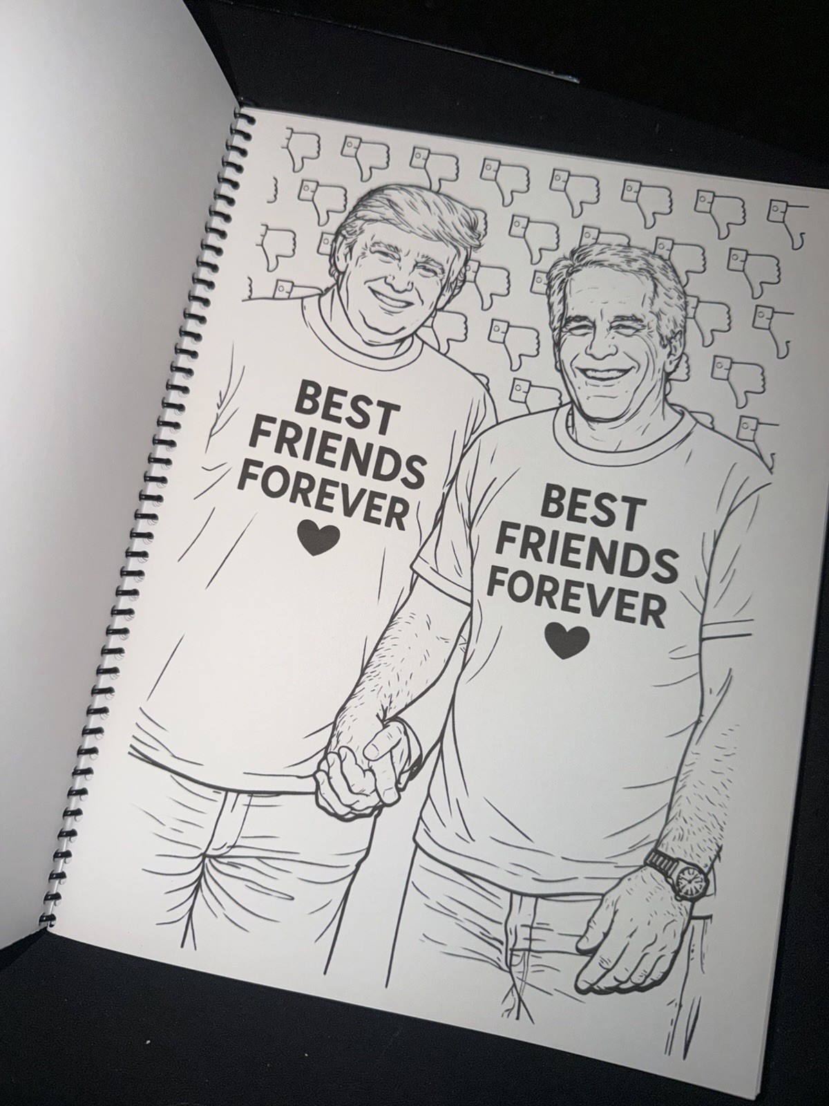 Political Adult Coloring Book And Paper dolls, Selfcare, Political Gift, Funny
