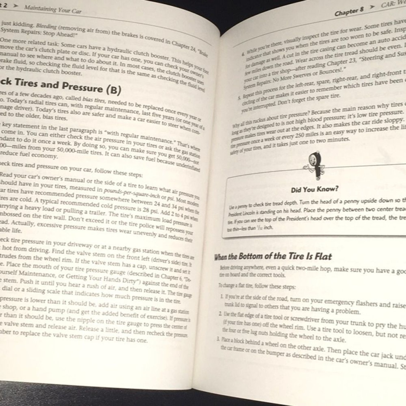 The complete idiot’s guide to trouble-free car care over‎ 250 pages