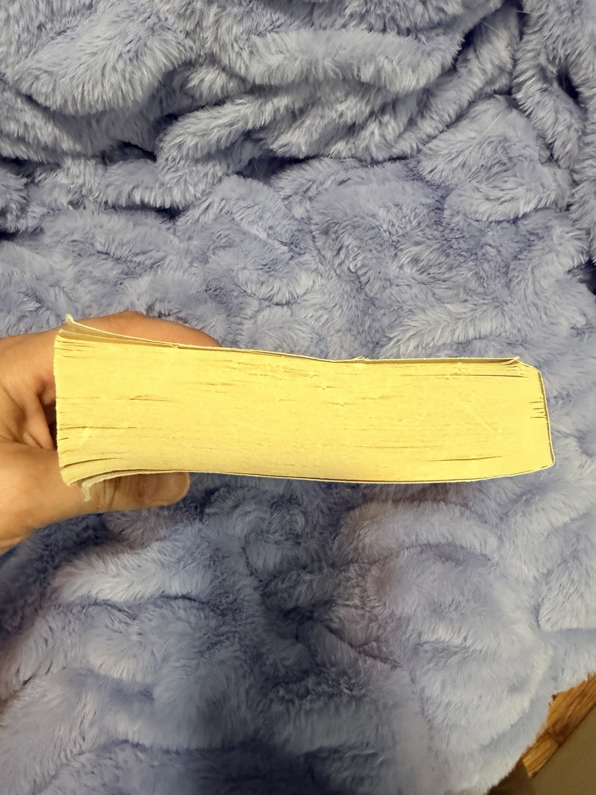 The Runaway Paperback Hollie Overton Fiction