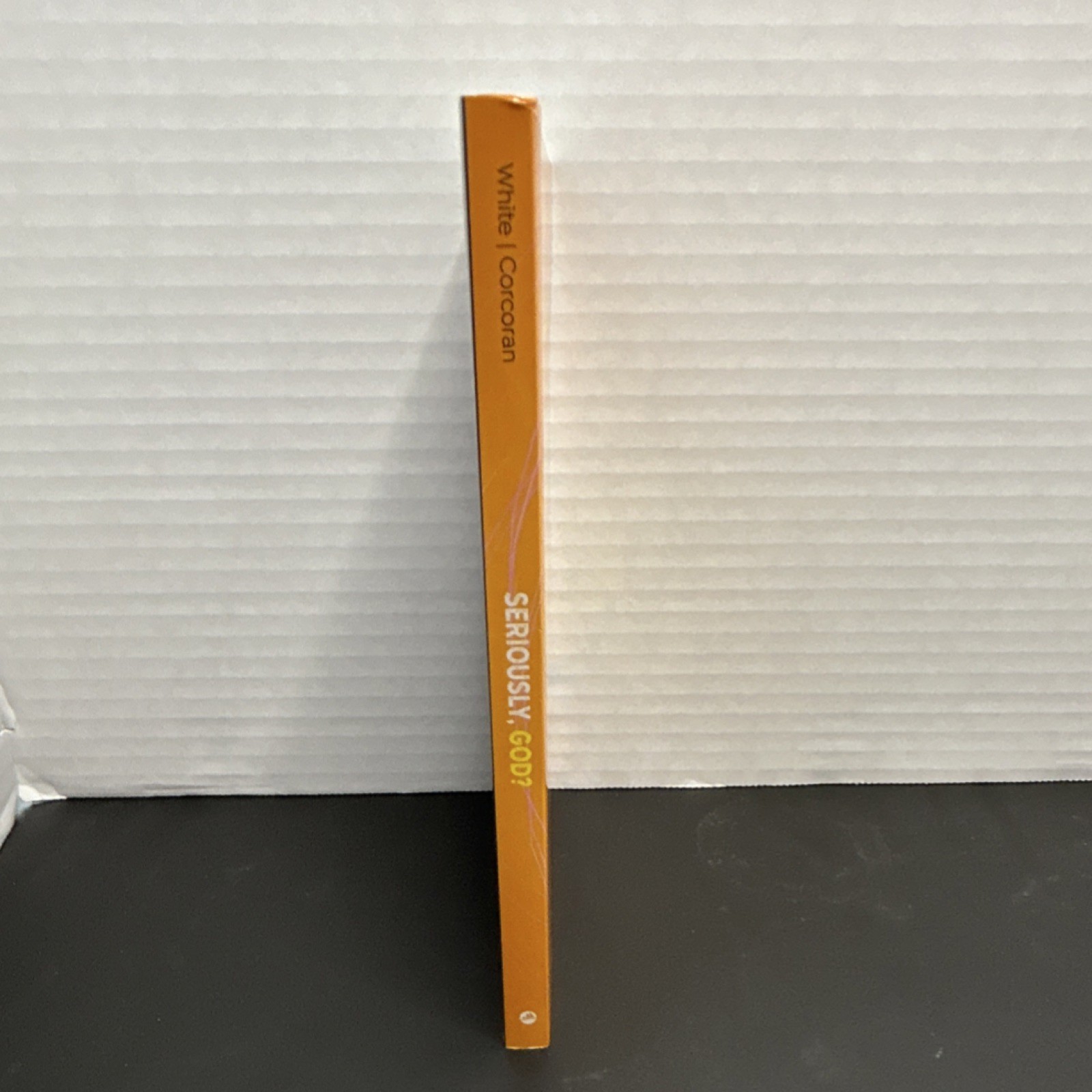 Michael White Tom Corcoran Seriously, God? Special Edition, Ave Maria Press, PB