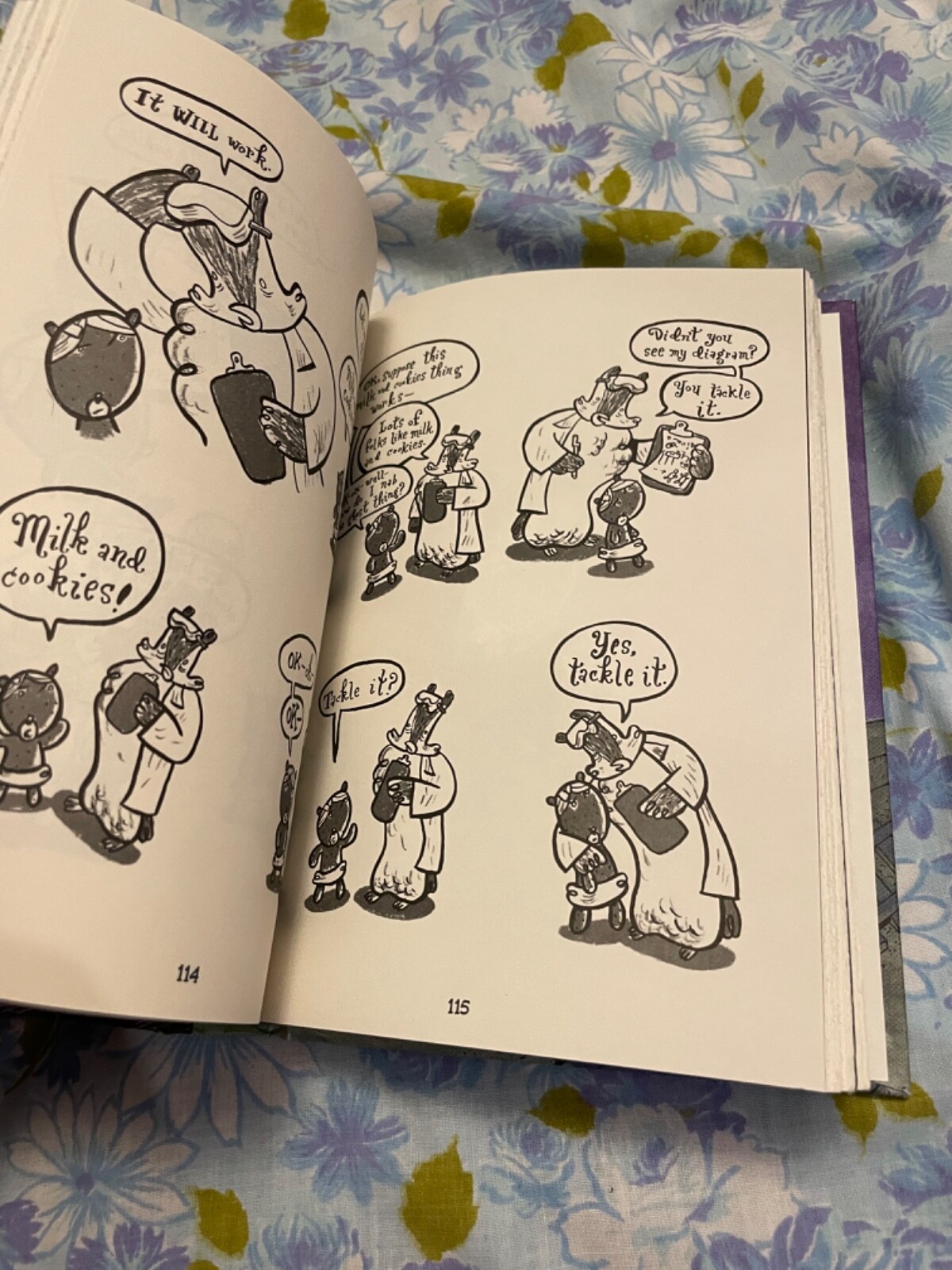 BOOK Friends is Friends Greg Cook First Edition 2016 Graphic Novel Roaring Brook