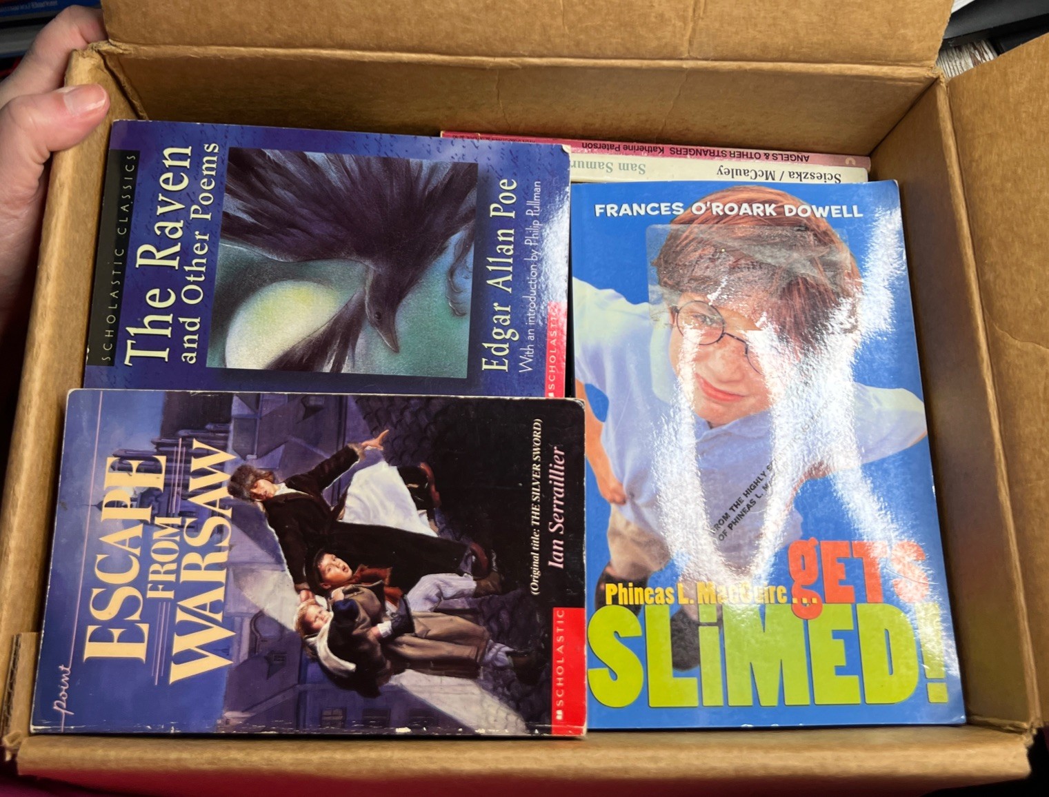 Lot of 28 Grade 3-6 Chapter Books Novels 14lbs / 39 Clues, ECHO , School of Fear