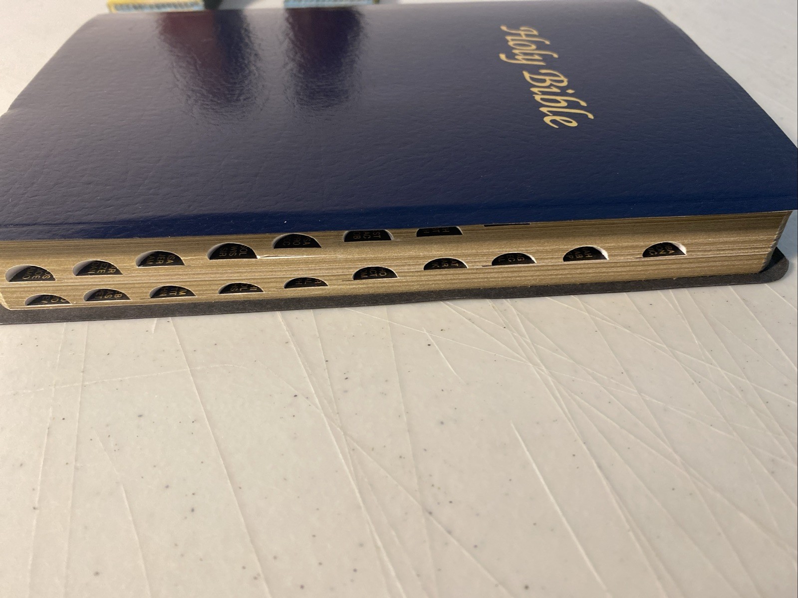 The New American Bible NAB Official Catholic Bible Catholic Word Press ~ VGC