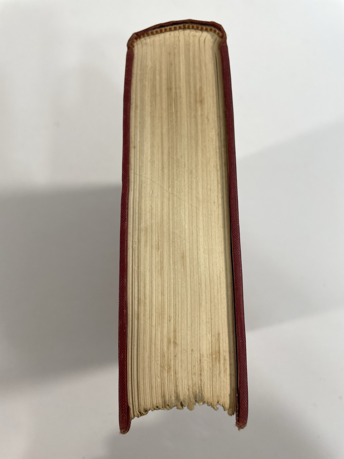Paradise Esther Forbes 1937 Harcourt Brace and Company Hardcover