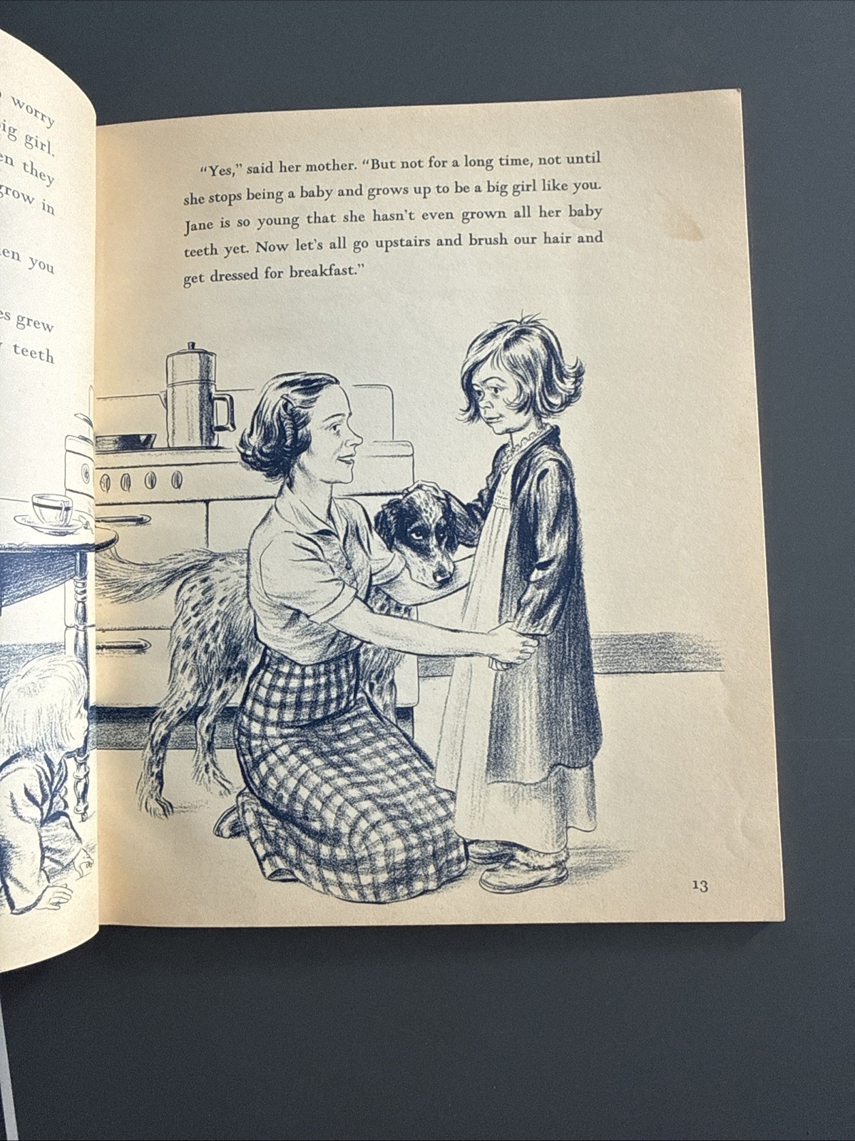 One Morning In Maine – Robert McCloskey