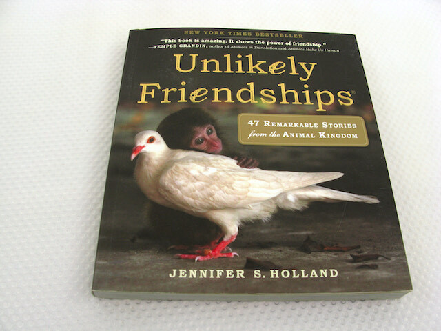 Unlikely Friendships Jennifer S Holland 2011 PB Animals Nature Relationships