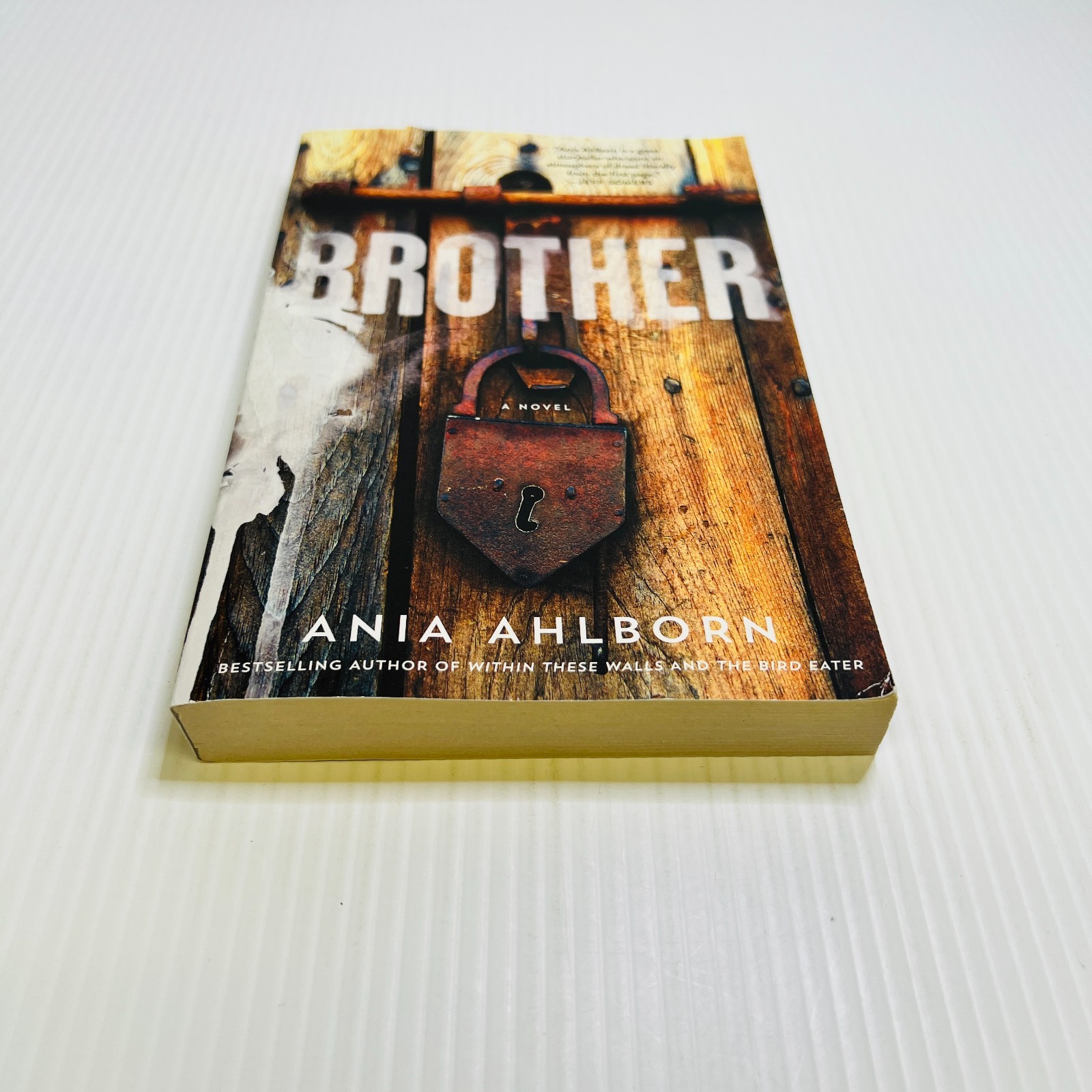 Brother by Ania Ahlborn (2015, Trade Paperback)