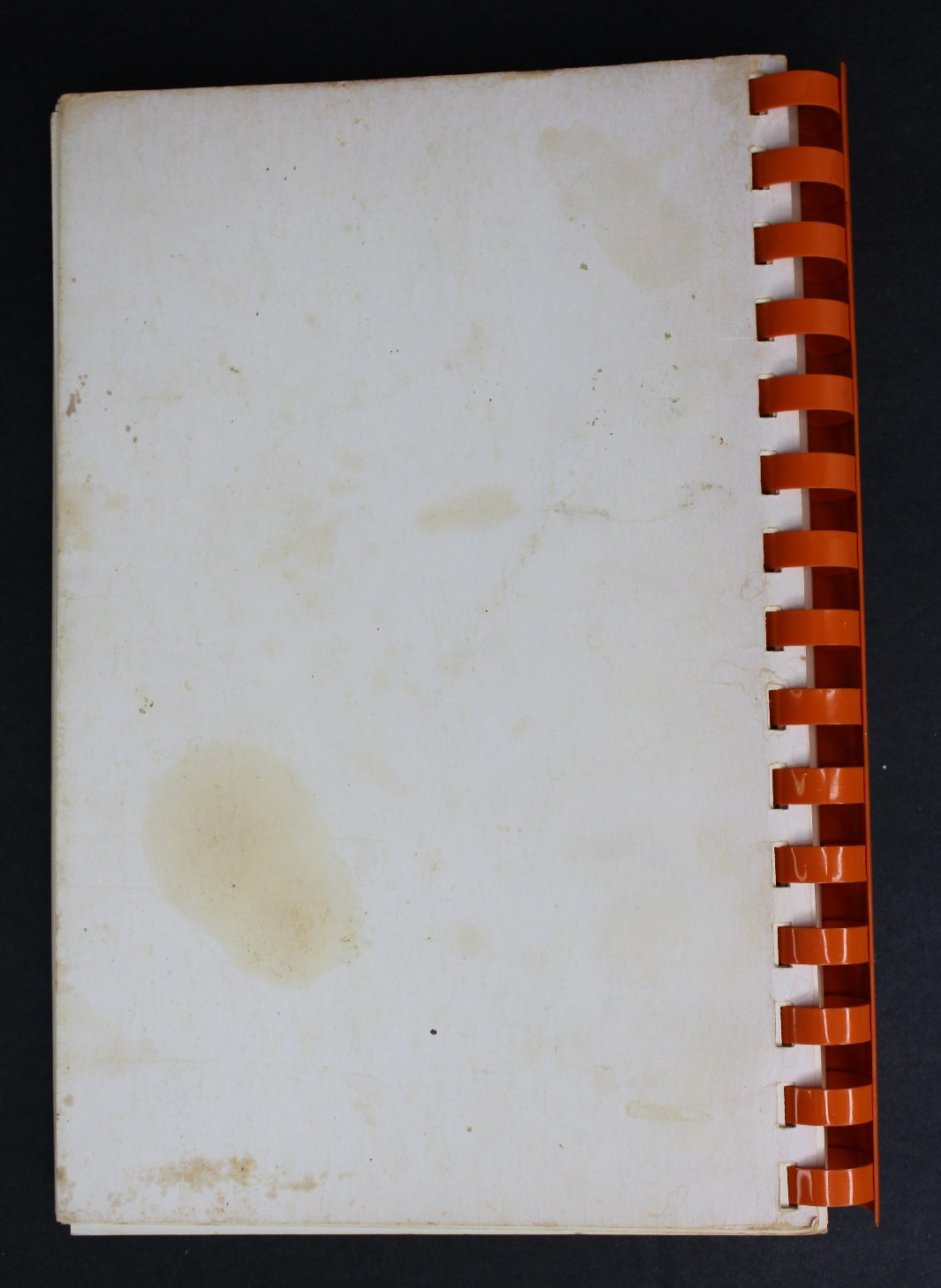 Rare 1984 Bengal Bites Cincinnati Bengals Wives’ Cookbook Spiral Bound 127 Pages