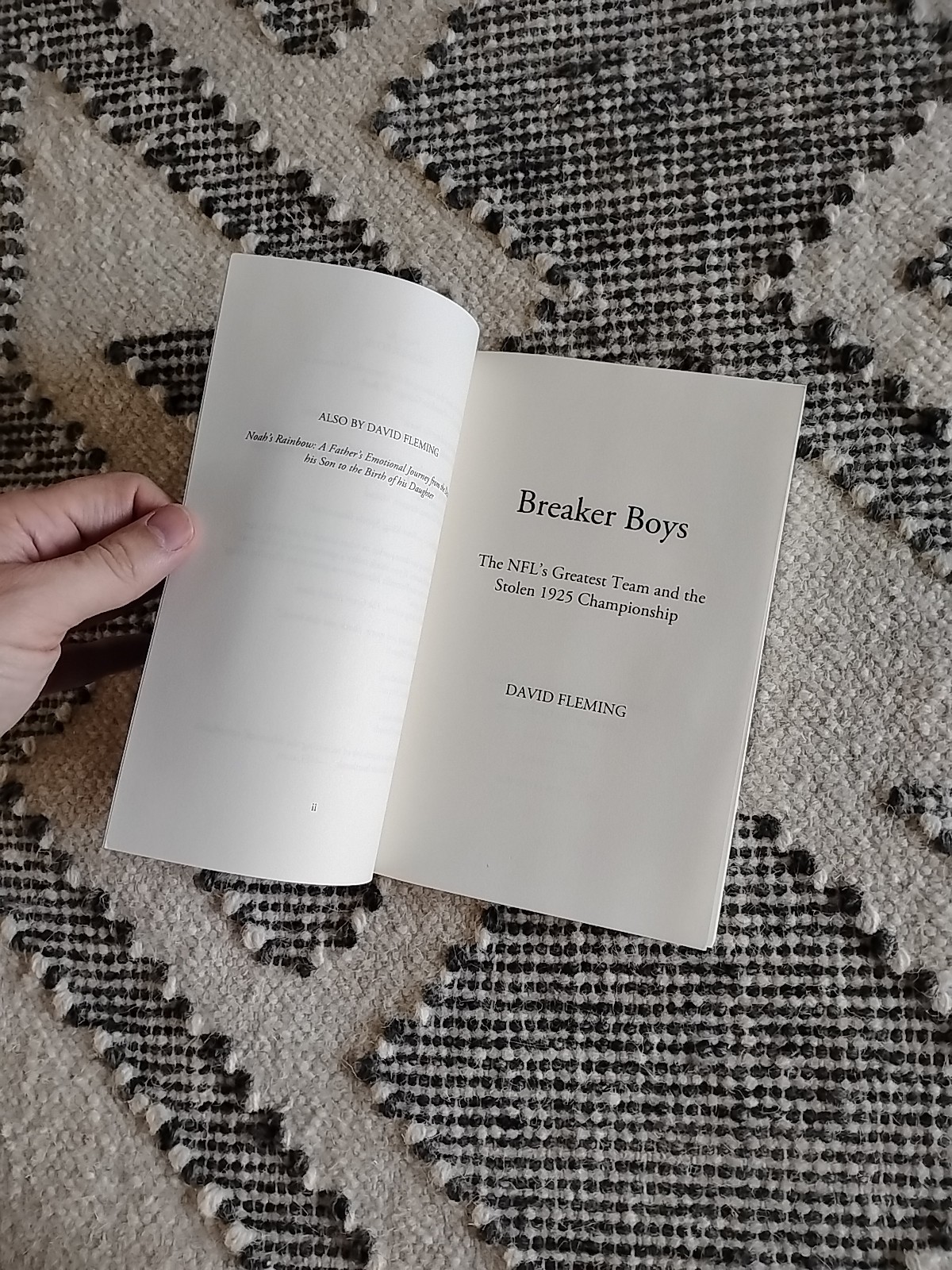 Breaker Boys by David Fleming, 2015 trade paperback
