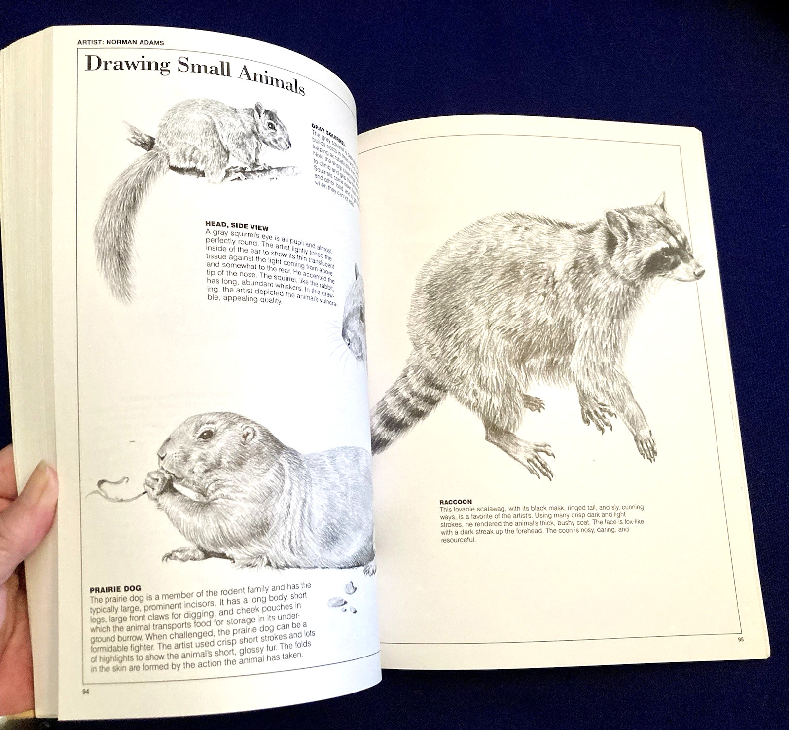 Pencil Drawing Techniques: Learn How to Master Pencil Working Techniques New