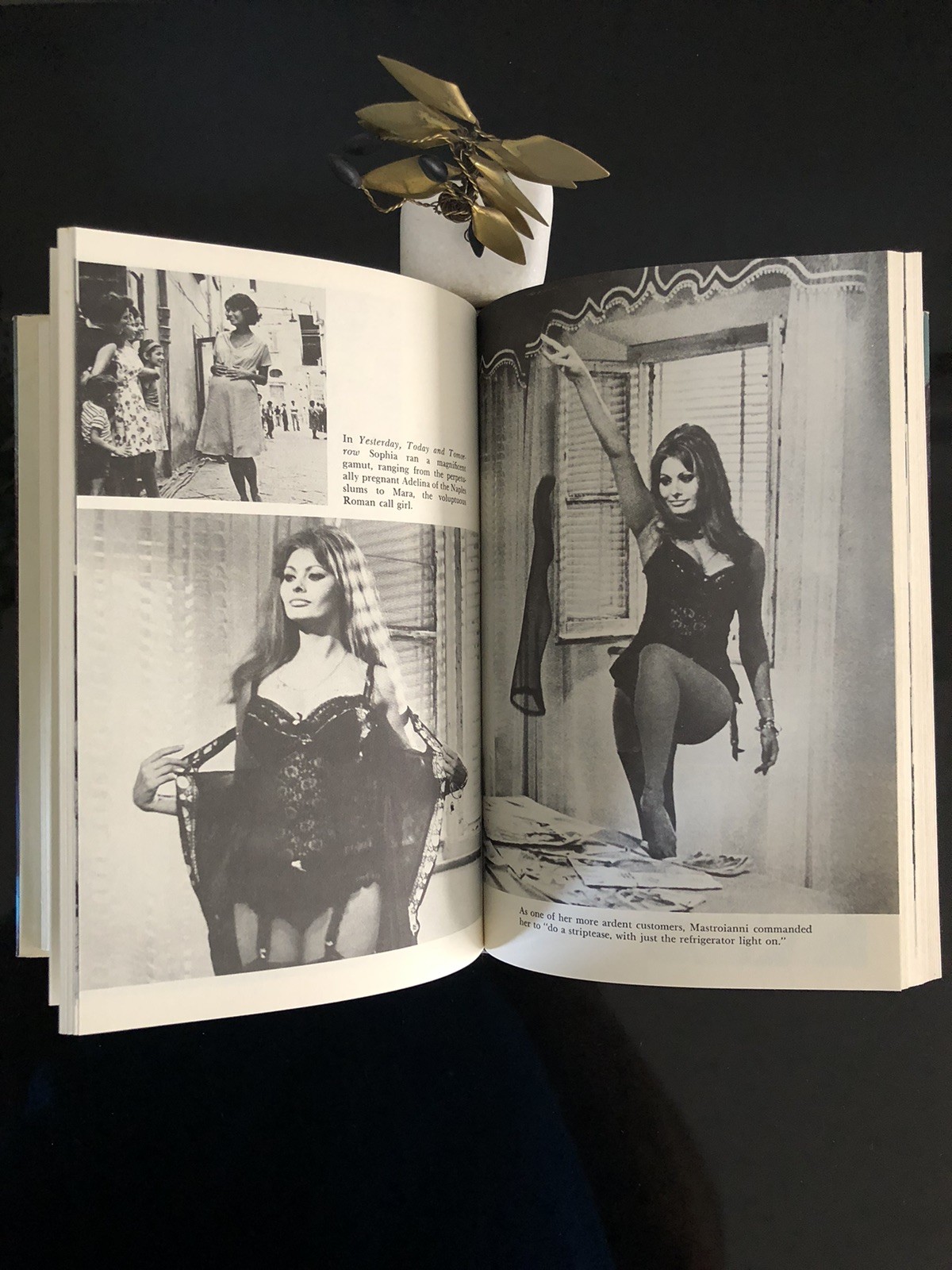 Sophia Living And Loving Her Own Story By A E Hotchner Morrow 1979 F. Ed/6Pr. HC