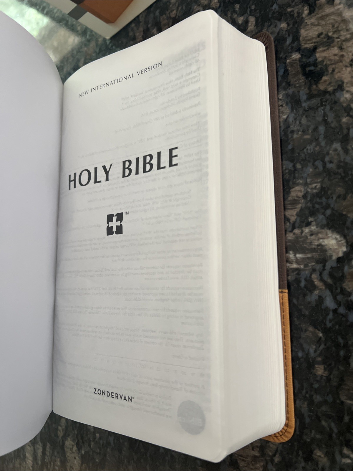 NIV Bible Personal Size Large Print Bible DuoTone Chocolate / Amber Leathersoft