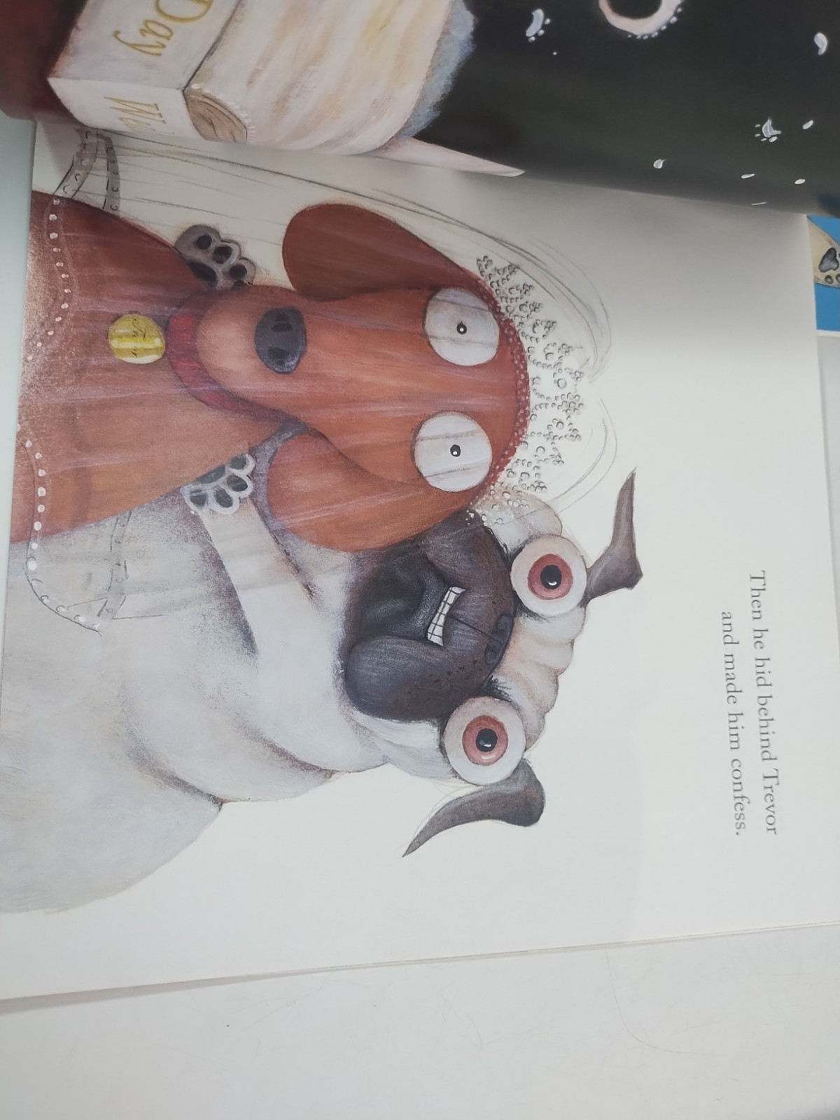 Pig the Pug Series Children Books Set by Aaron Blabey Lot Of 6 Scholastic PB
