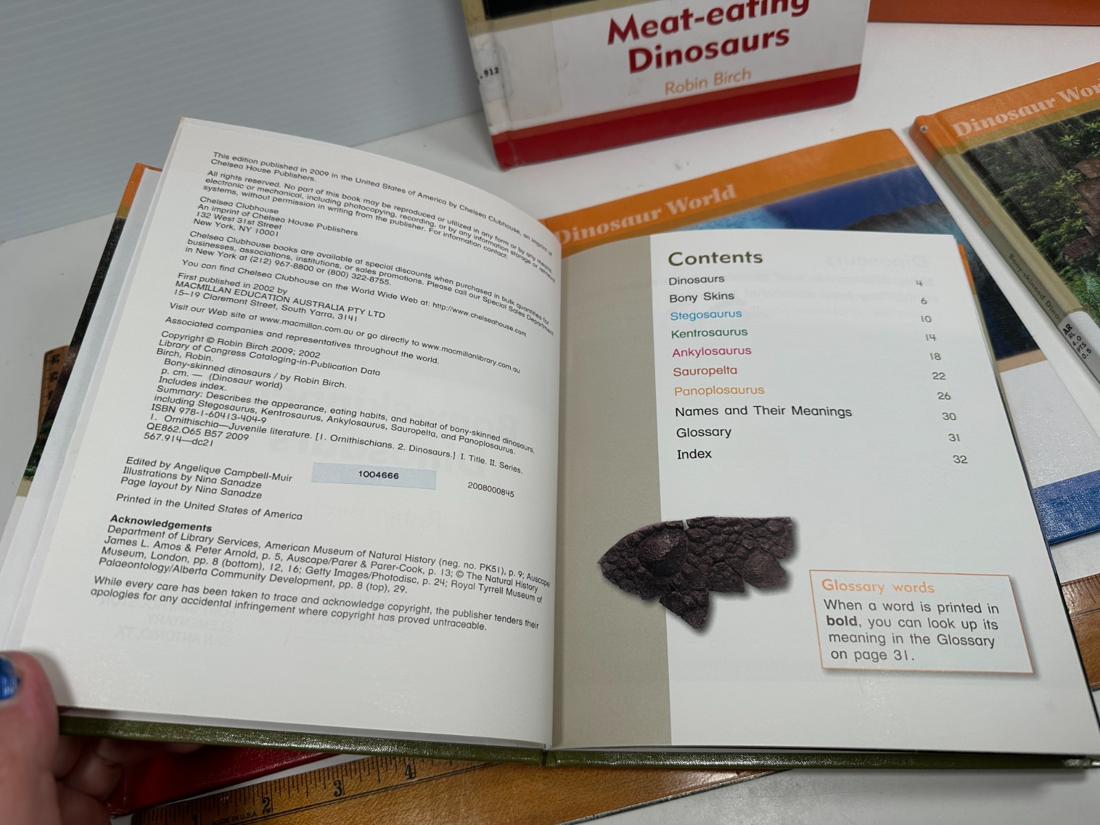 Set of 6 Dinosaur World Books Robin Birch Ex-Lib Teacher Homeschool Reading
