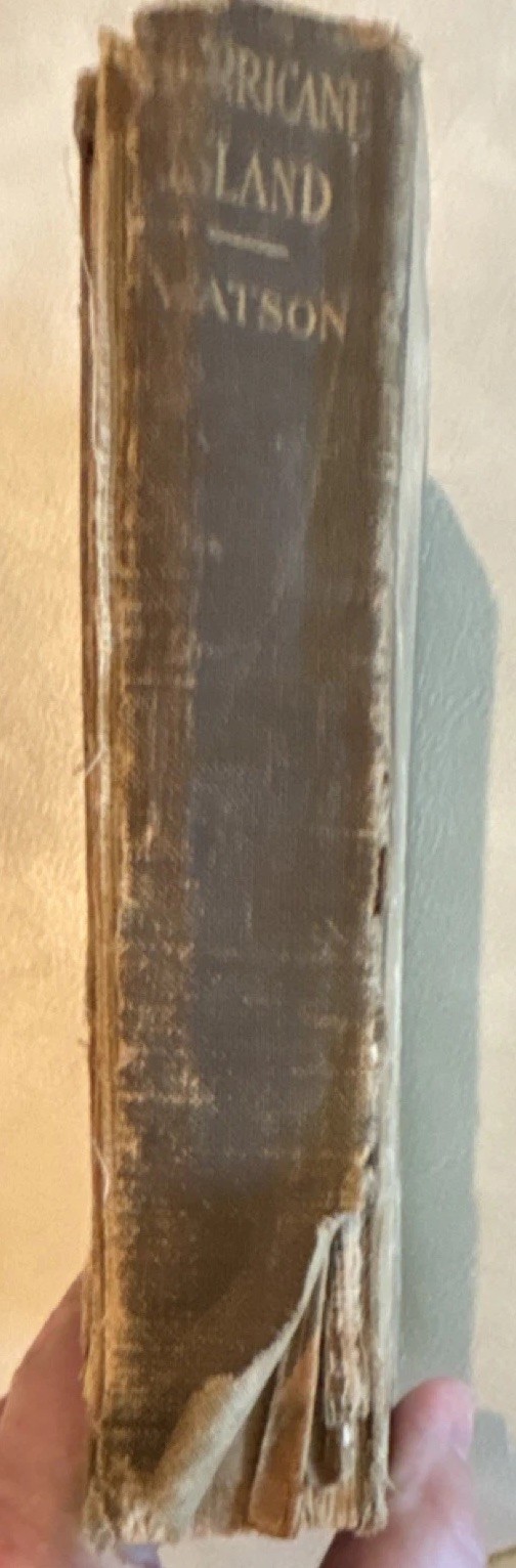 A. L. Burt Hurricane Island H. B. Marriott Watson Hardcover 1905 Vintage