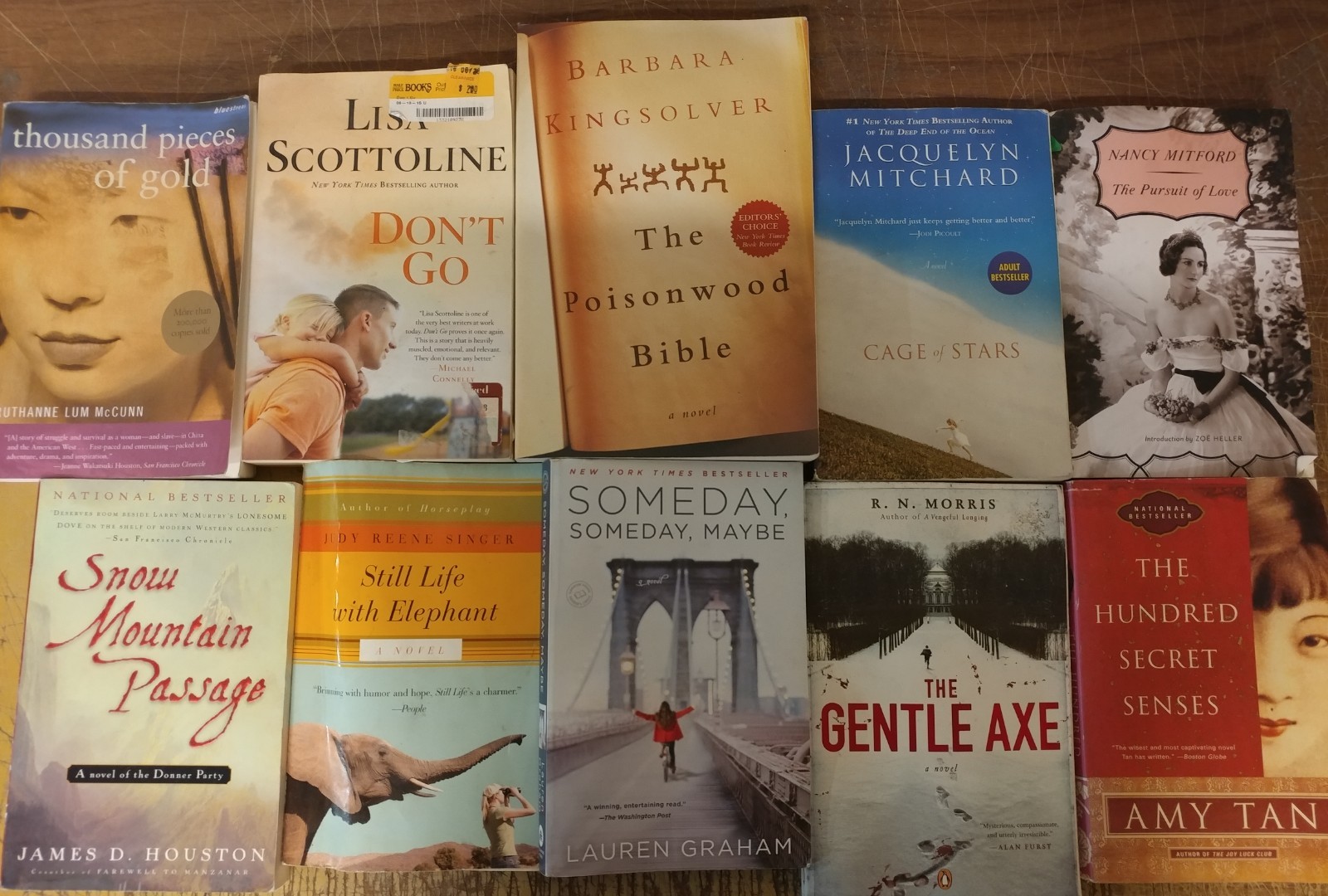 Lot of 20 Large Trade Literature Fiction Paperback BestSeller UNSORTED Mix Books