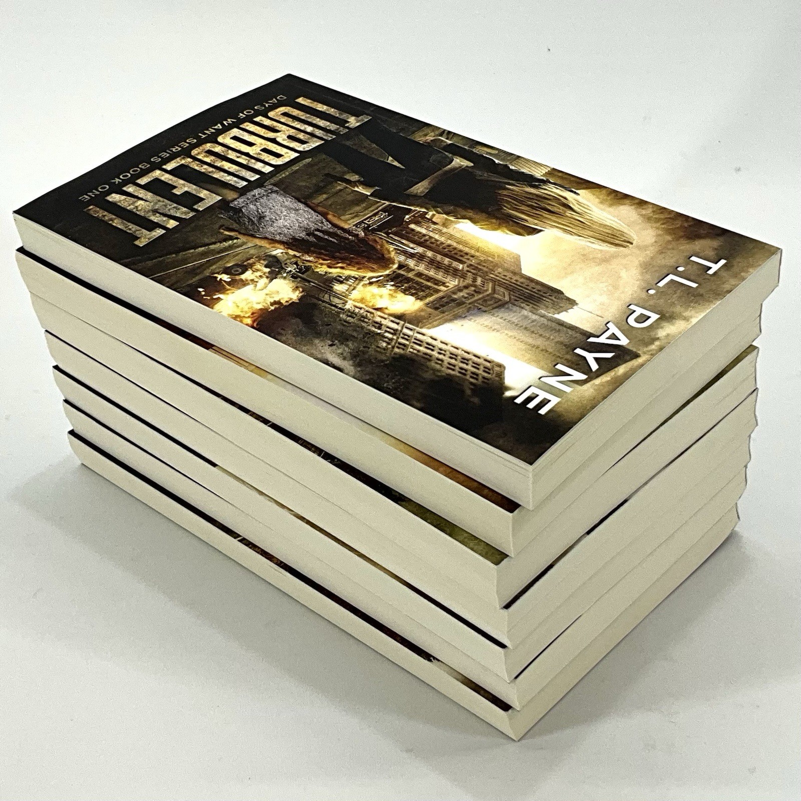 T.L. Payne – Days of Want Series – 7 Book Collection – Paperback