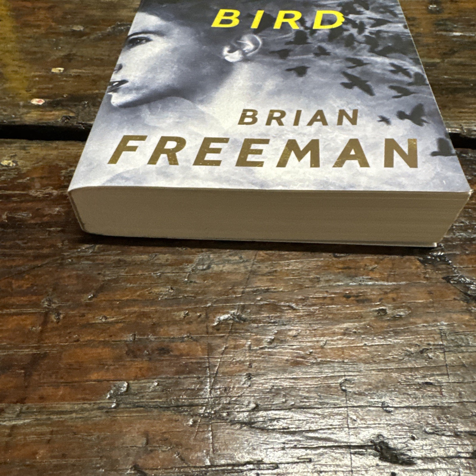 Night Bird by Brian Freeman (2017, Trade Paperback) 1st Edition