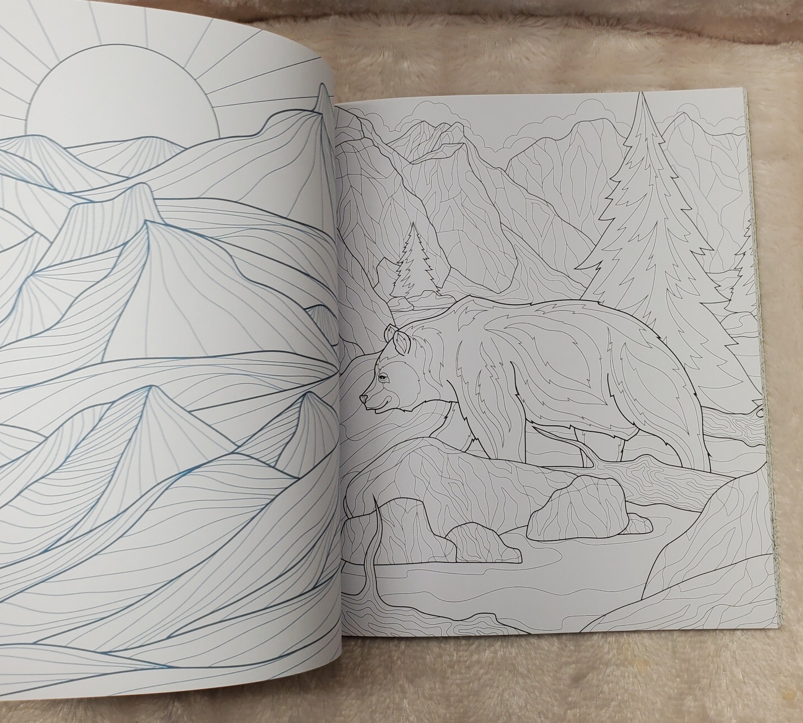 Mountains and Wilderness Coloring Book : Color Incredible Outdoor Scenes: New