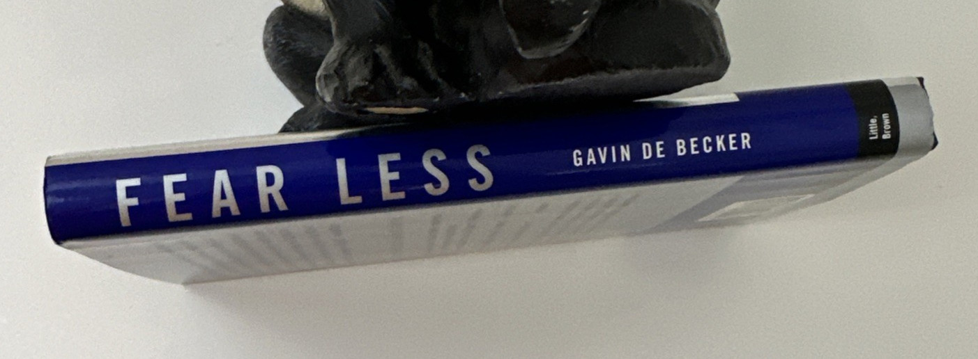 Fear Less Risk Safety Security Terrorism Hardcover Book Gavin de Becker 2002