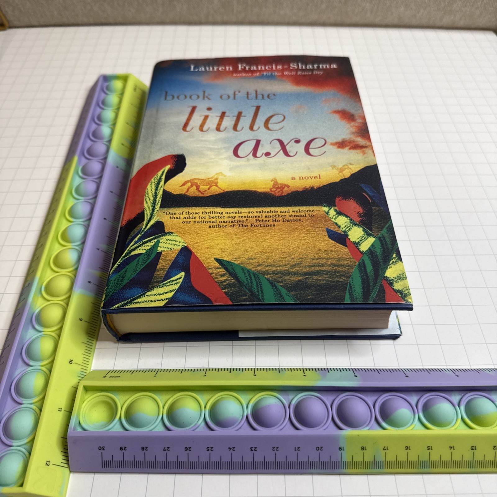 Book of the Little Axe by Lauren Francis-Sharma (2020, Hardcover) Preowned