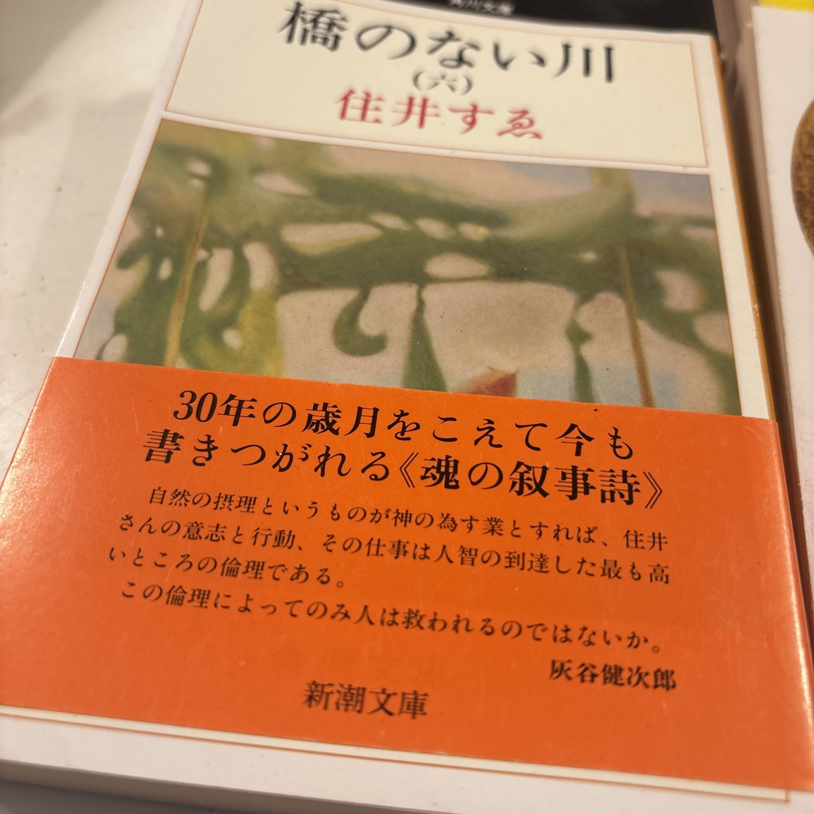 Lot of 5 Japanese Paperback Novels Books Novels Variety Of Authors (bk4