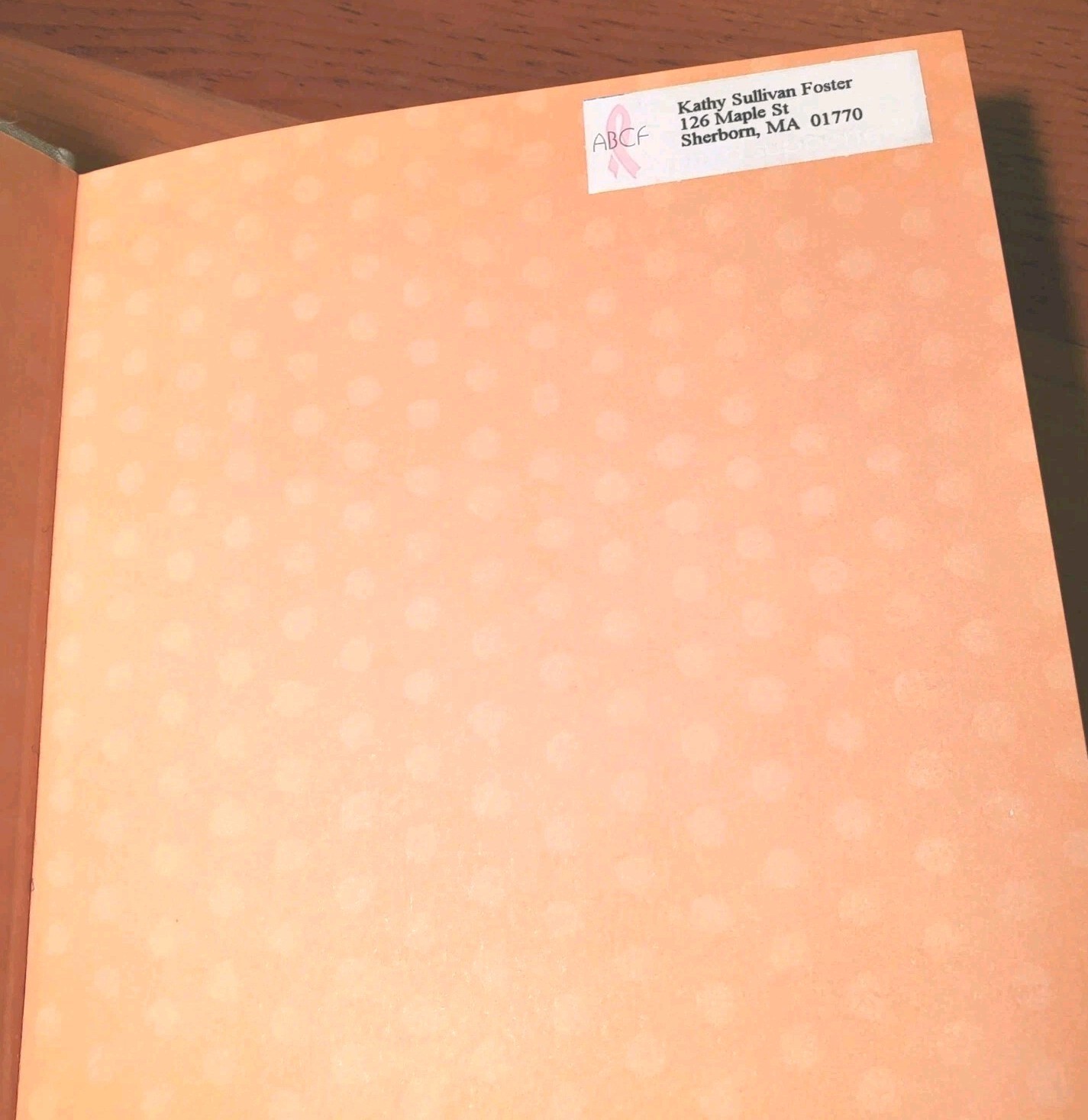 NEW 1st/1st Ed EVERYDAY MATTERS A NY Diary Danny Gregory Illustrated Hardcover