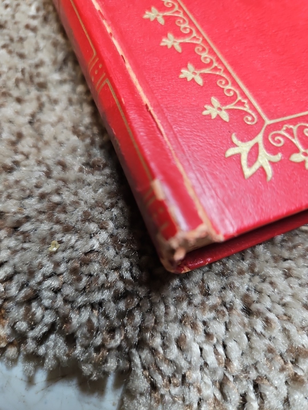 The Joy of Words J. G. Ferguson 1960