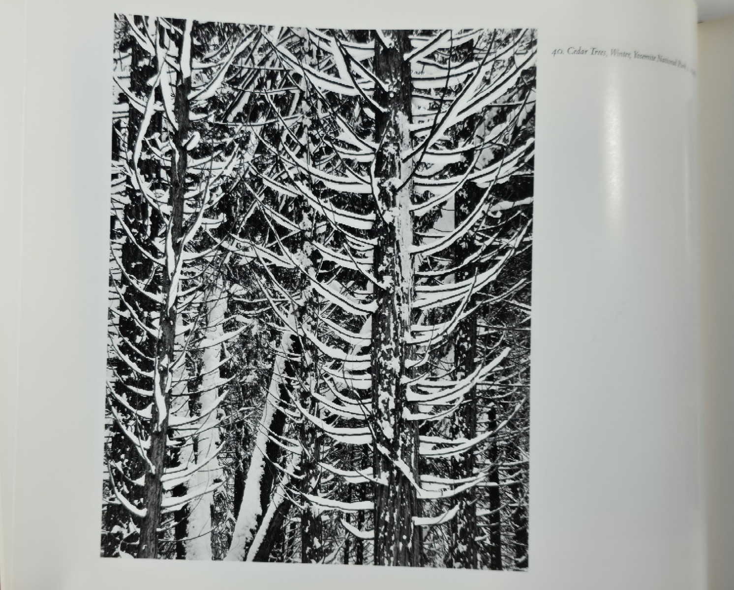 Yosemite And The High Sierra Ansel Adams Andrea Stillman