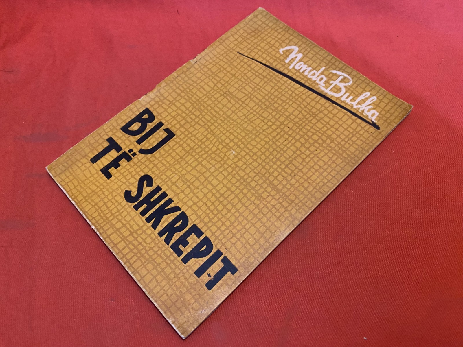 BIJ TE SHKREPIT 1963 MONDA BULKA VINTAGE ALBANIAN BOOK