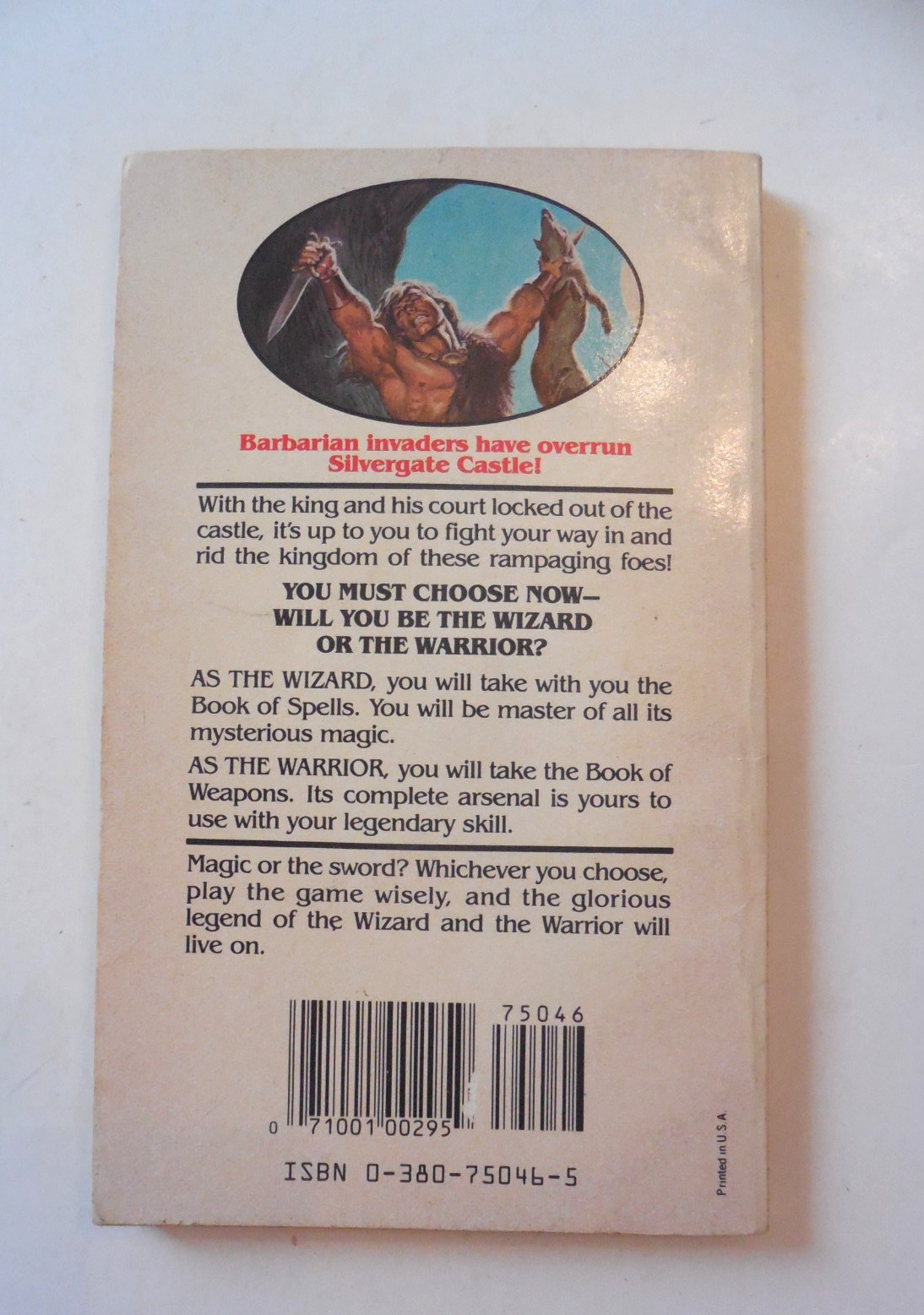 Wizards Warriors & You Book 17: Conquest Of The Barbarians Role-Playing Book