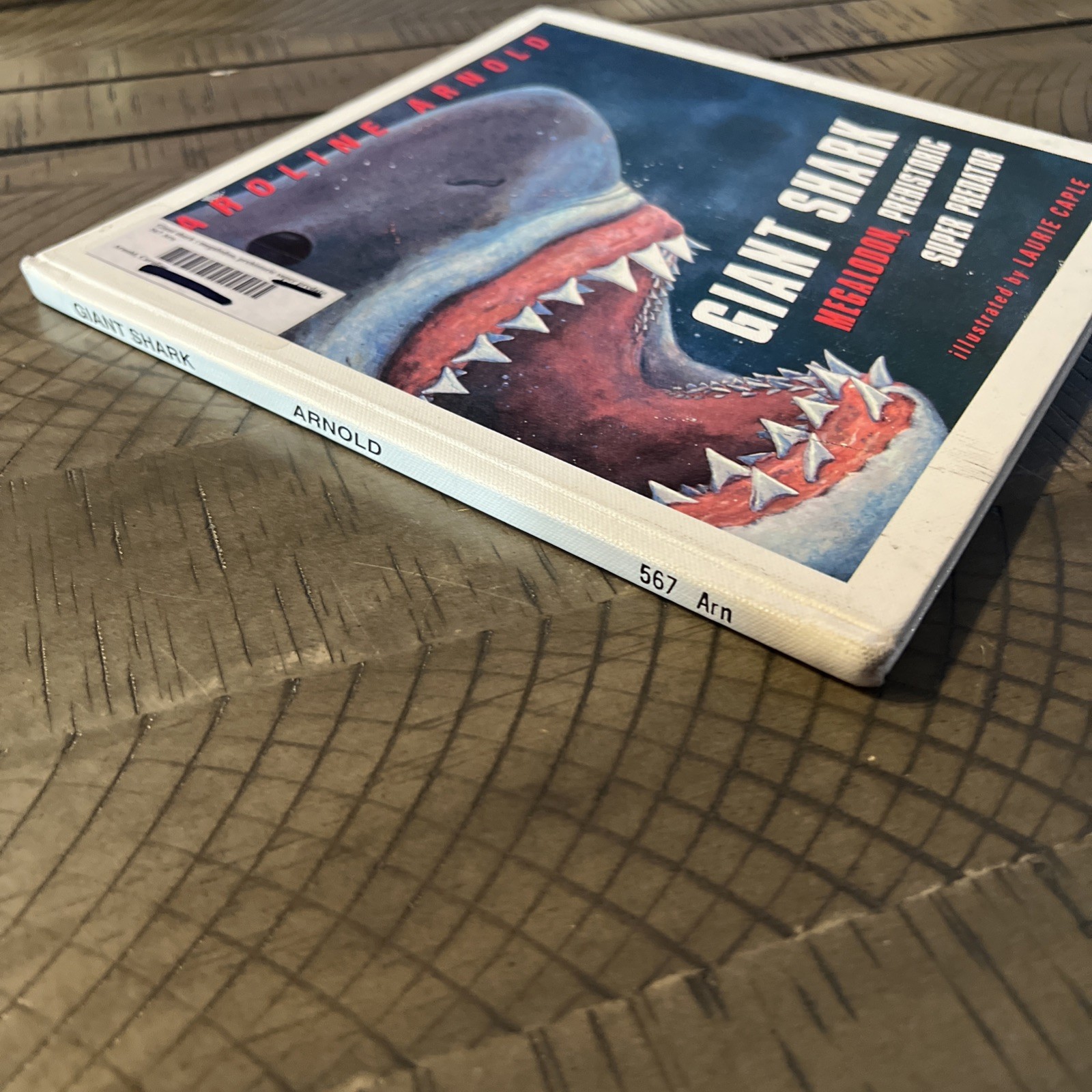 Giant Shark: Megalodon, Prehistoric Super Predator by Caroline Arnold