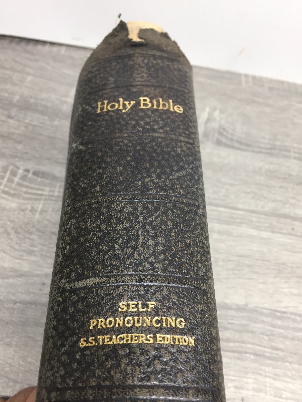 Holy Bible Self-Pronouncing S.S. Teachers Red Letter 1926 National Bible Press