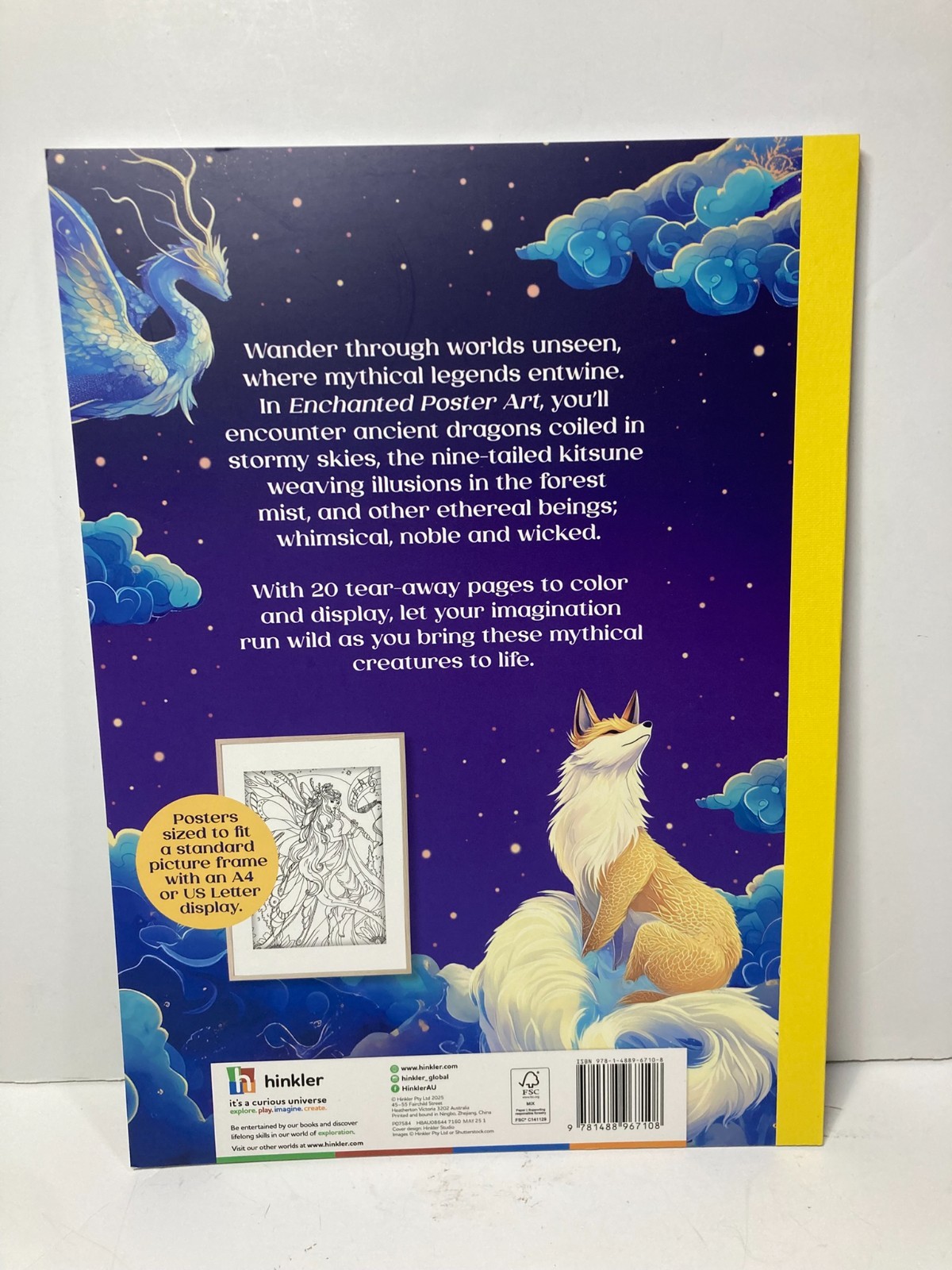 ENCHANTED Coloring Book Poster Art 20 pages