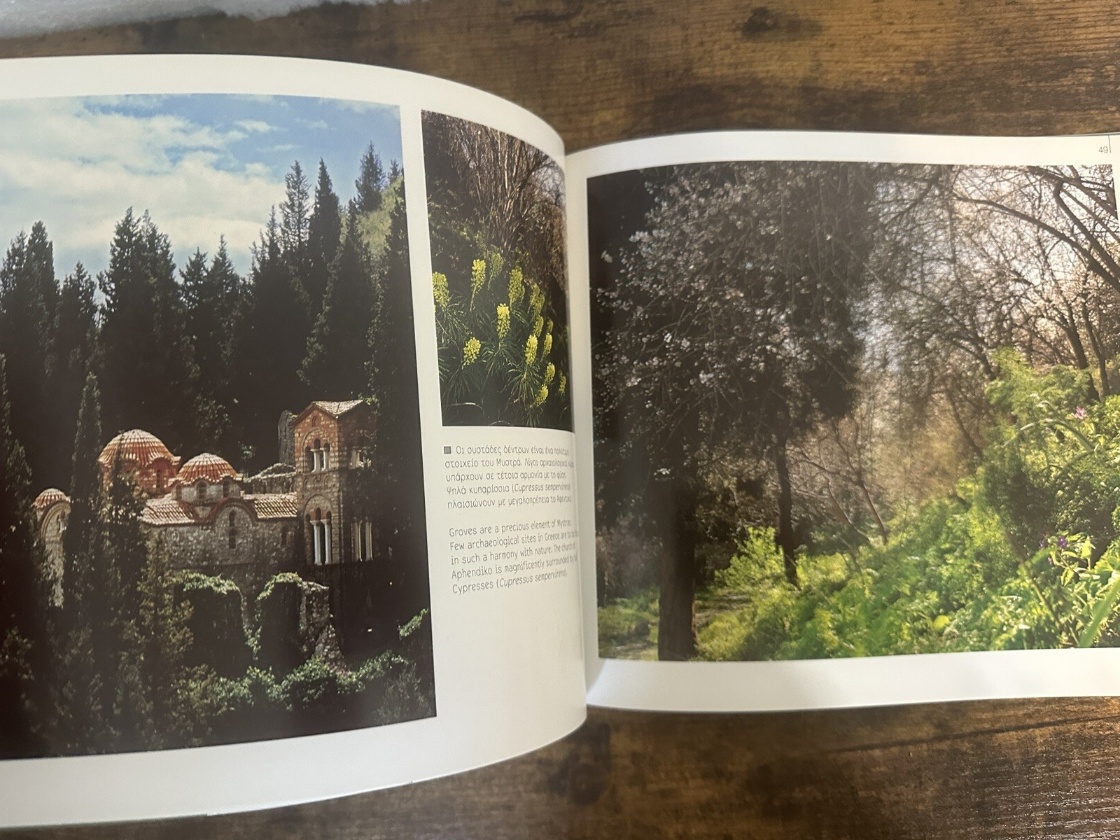 Greek and English Nature Pictures by Andrea Bonetti – 129 pages Read details