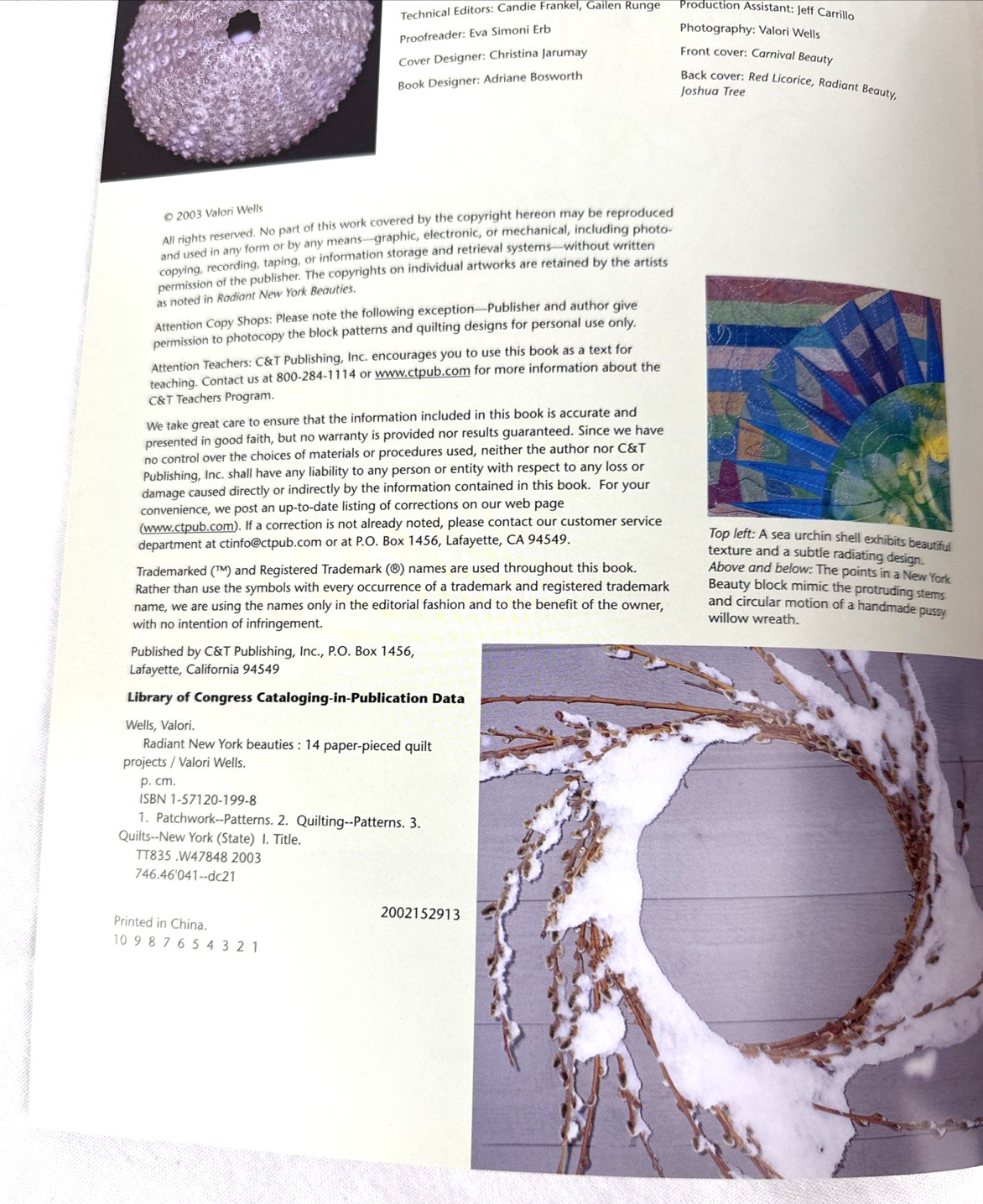3 Quilt Book-Assembly Required, New York Beauties, It’s Okay Sit On My, Free Shp