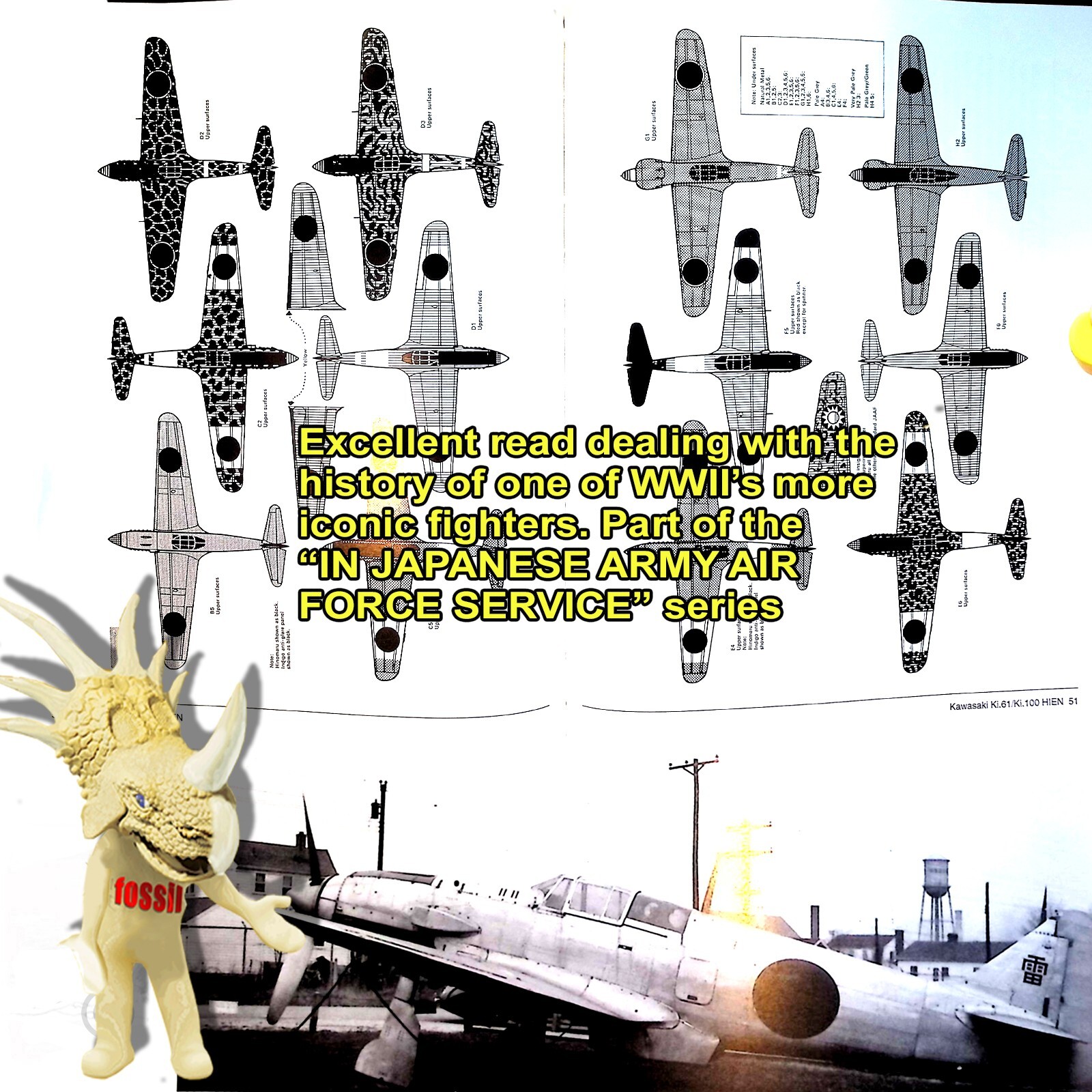 BOOK: IN JAPANESE ARMY AIR FORCE SERVICE: KAWASAKI KI-61 HIEN