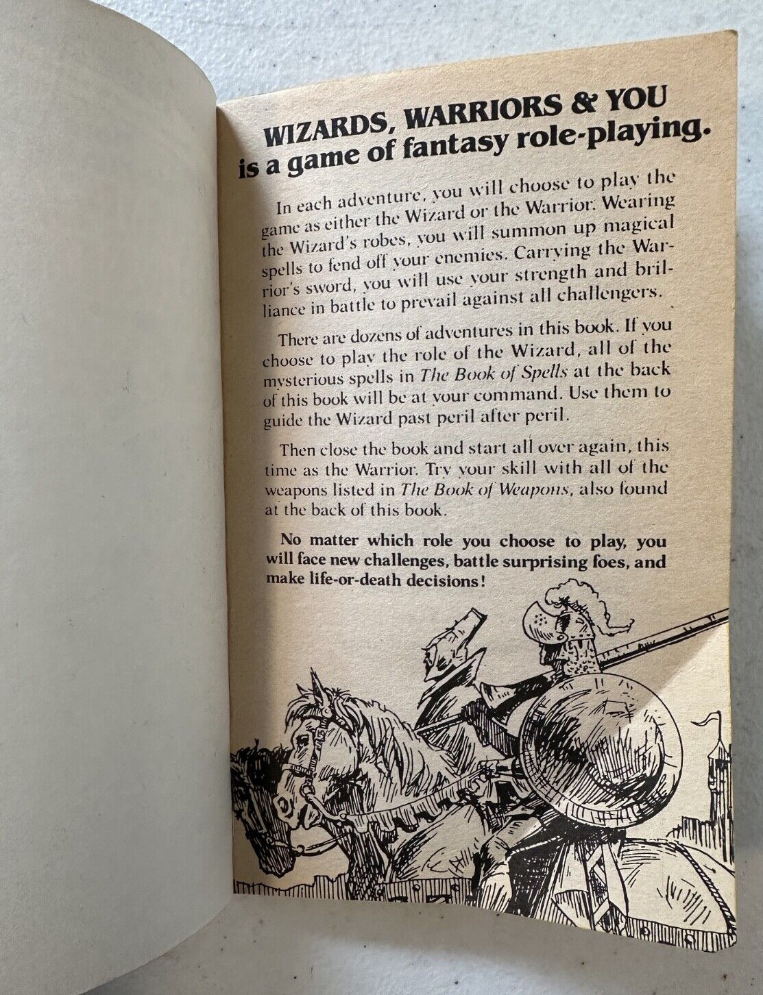 Wizards Warriors & You 1st ed PB 1986 Avon 17 choose adventure Barbarians Stine