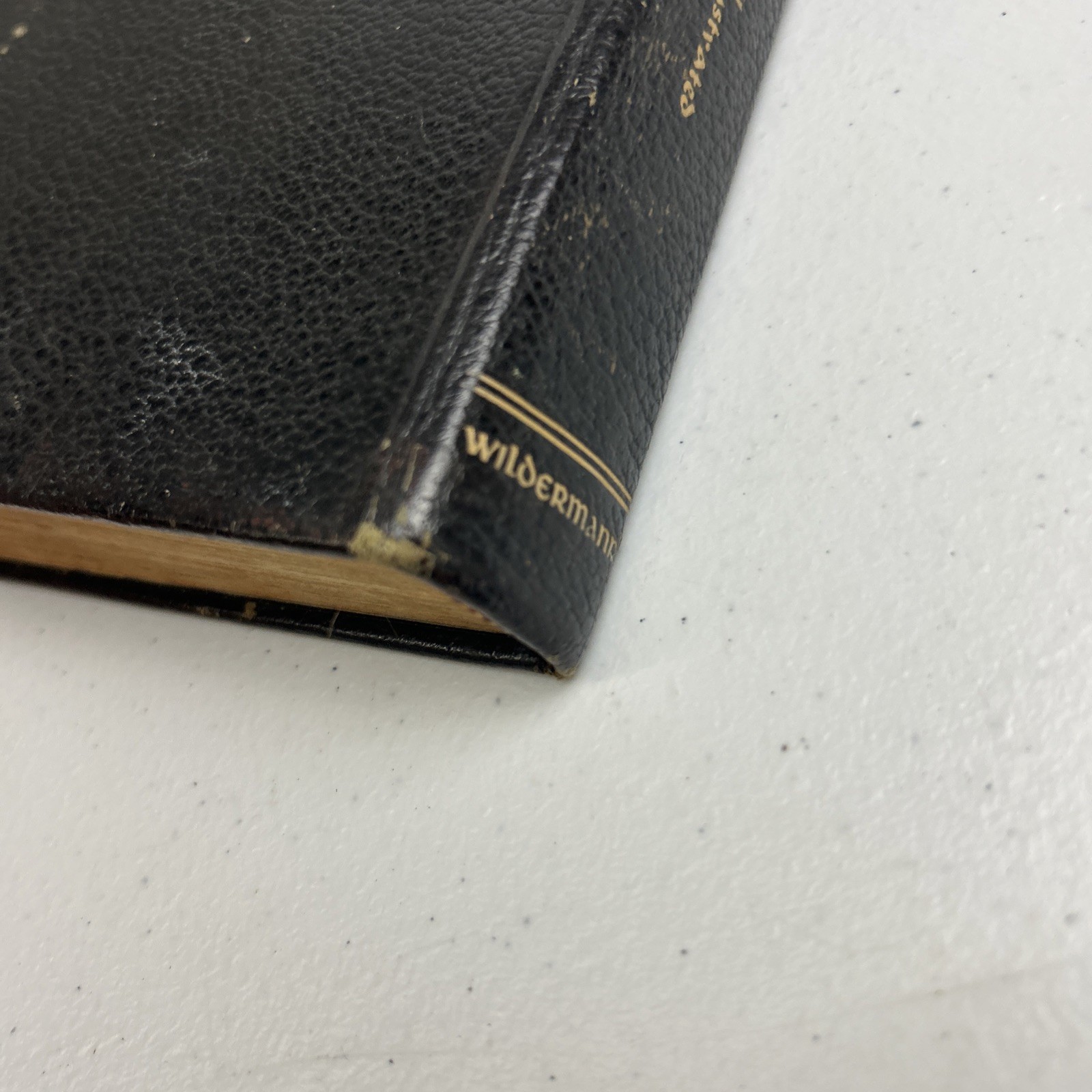 The New Testament Holy Land Edition 1952 Illustrated Catholic Press