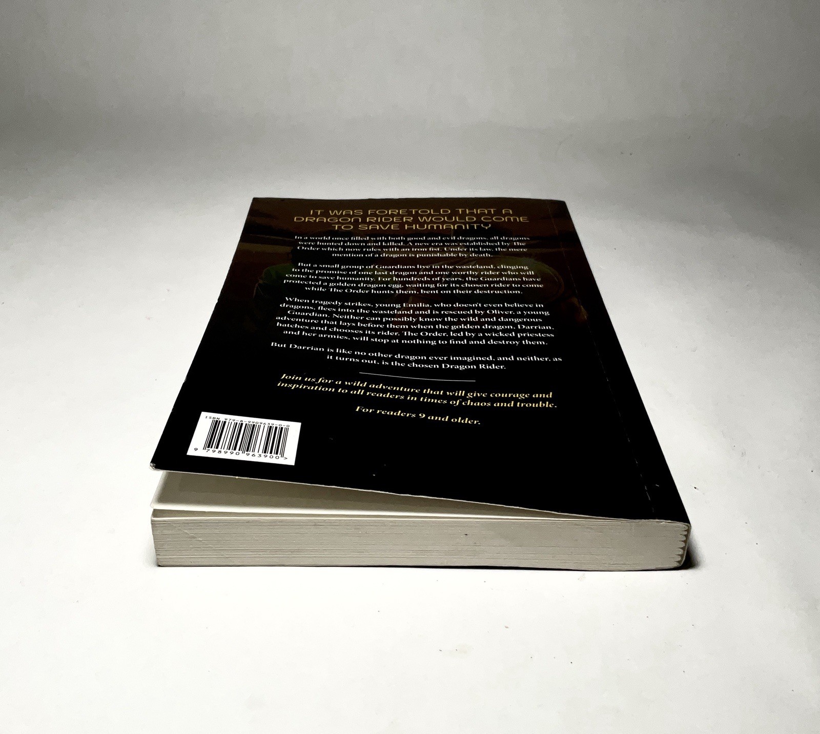 NEW The Dragon Rider Who Saved the World. #2 THE UNKNOWN PATH. Ted Dekker. 2024