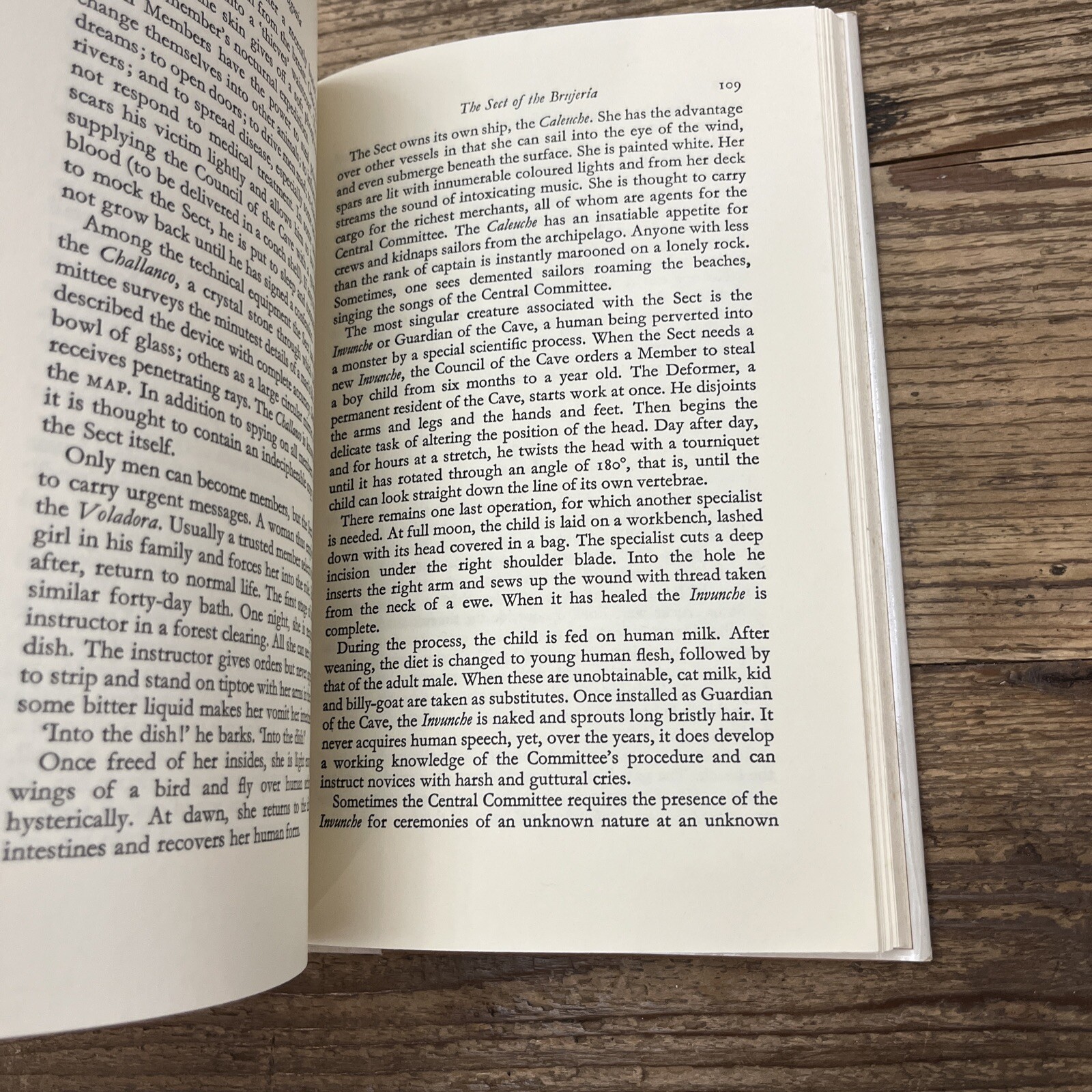 In Patagonia by Bruce Chatwin (1978, Hardcover)