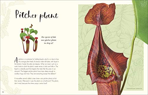 The Wonders of Nature (DK Children’s Anthologies) Brown