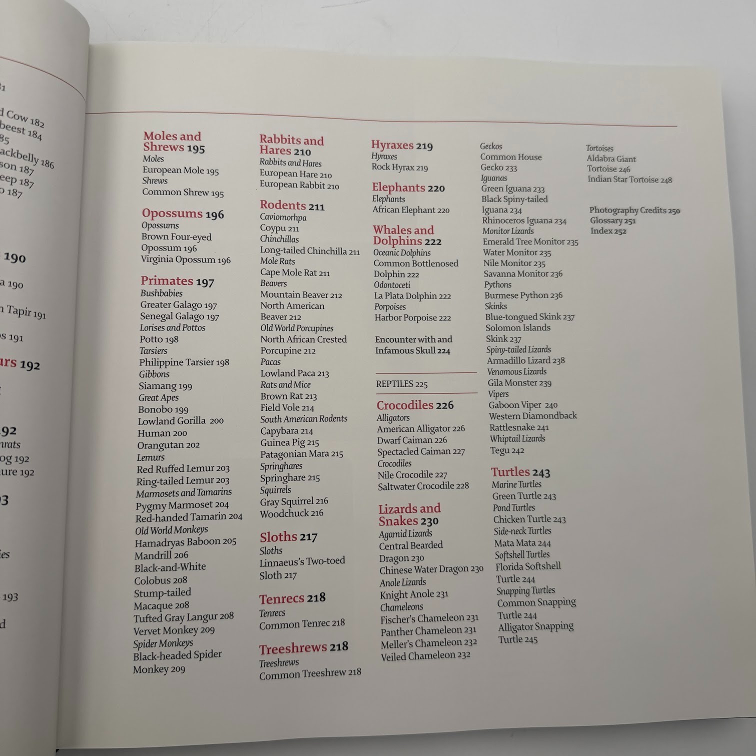 Skulls : An Exploration of Alan Dudley’s Curious Collection by Simon Winchester