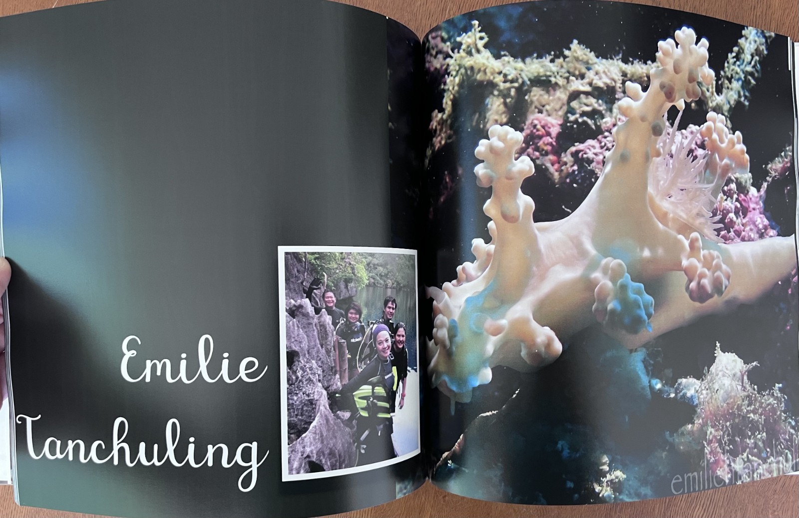 Philippines Diving: Anilao Batangas Verde Island Passage Coral Reef Photography
