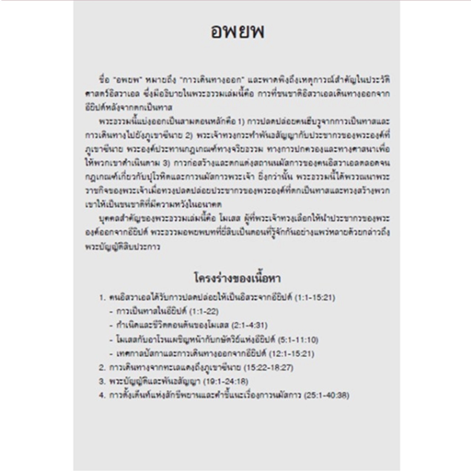 Holy Bible Thai Standard Version Old-New Testaments Small (11×15 cm) Gift