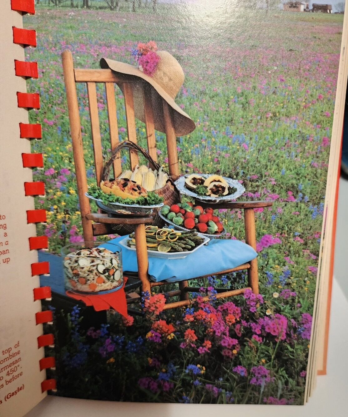 Lone Star Legacy II Cookbook 1986 Texas Austin TX Junior Forum Recipes 364 Pages