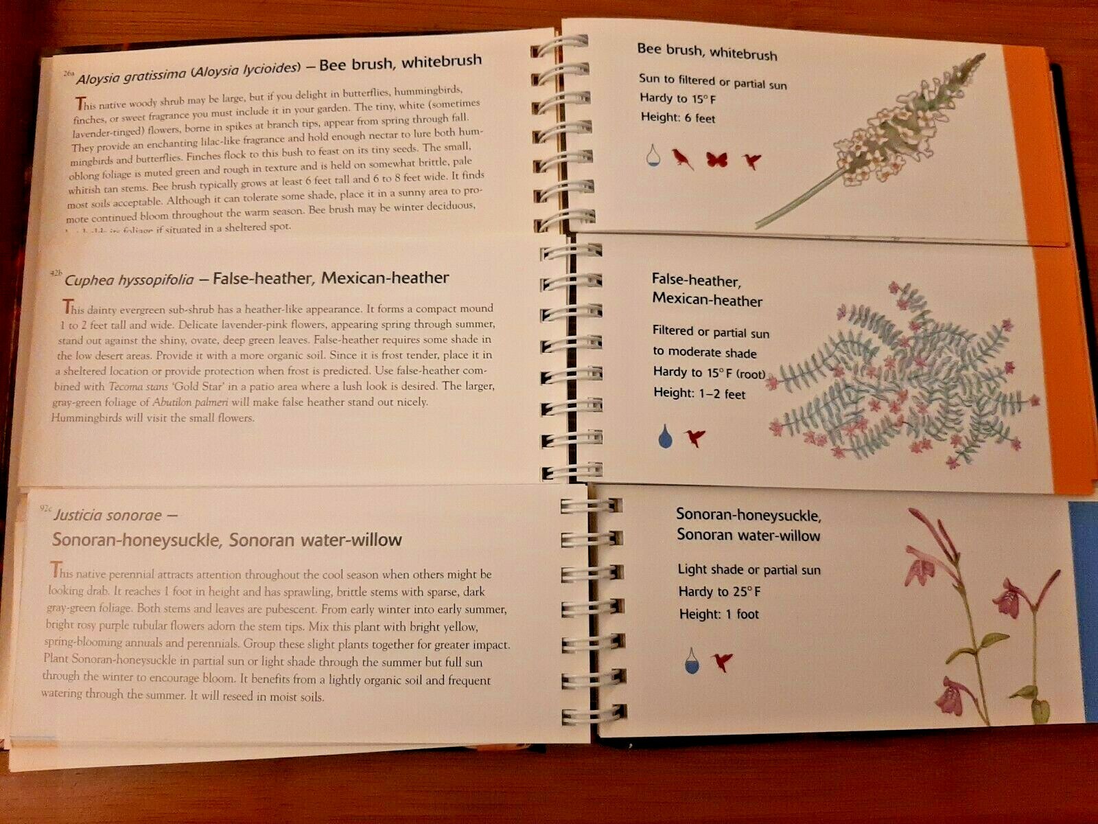 The Arizona Low Desert Flower Garden by Kirti Mathura 2007 HB Spiral Bound