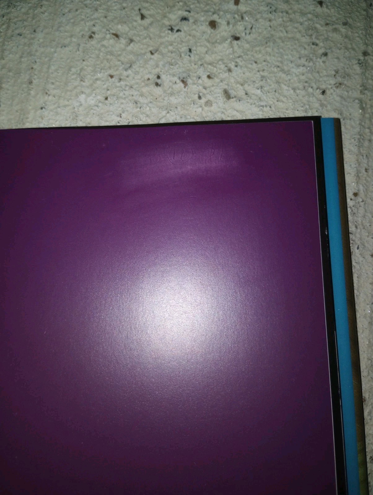 Chihuly Bellagio SIGNED by the author, With DVD 2007 Limited Hardcover VG