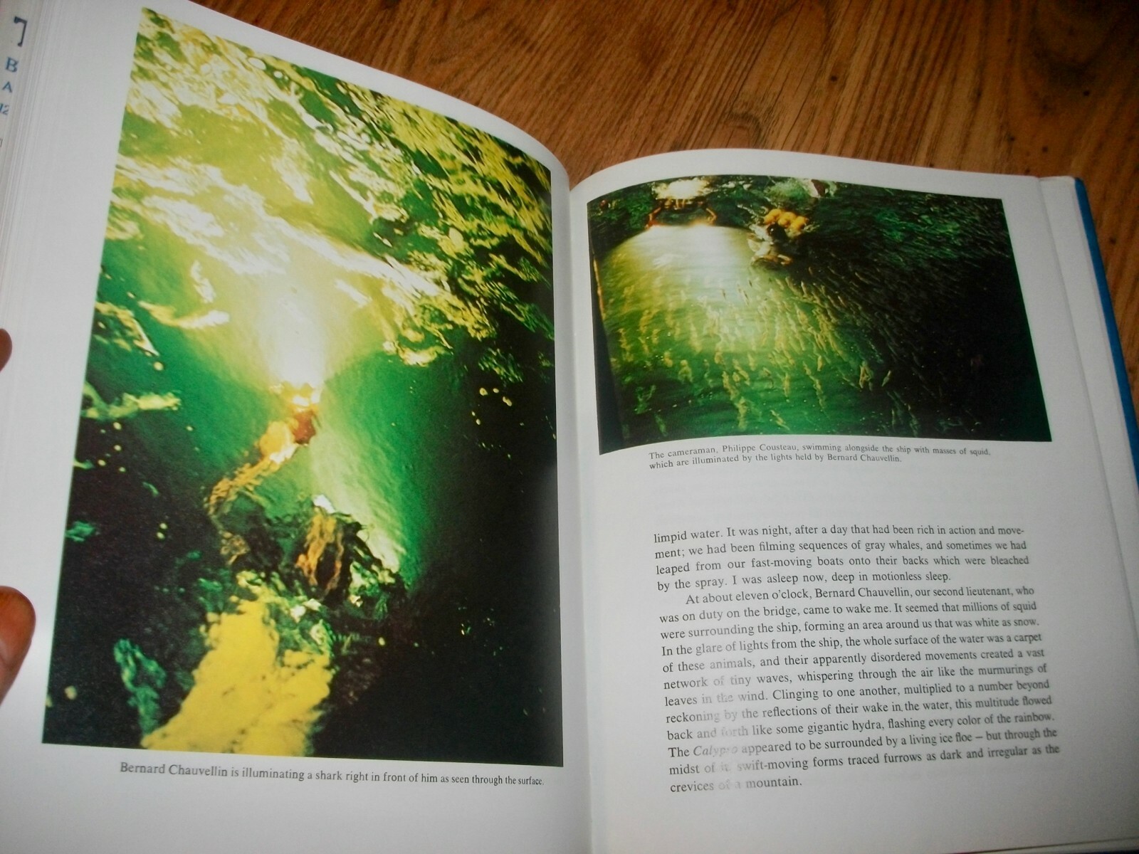 The Shark, by Jacques & Philippe Cousteau, HBDJ, 1987, 124 color photos, Nice!